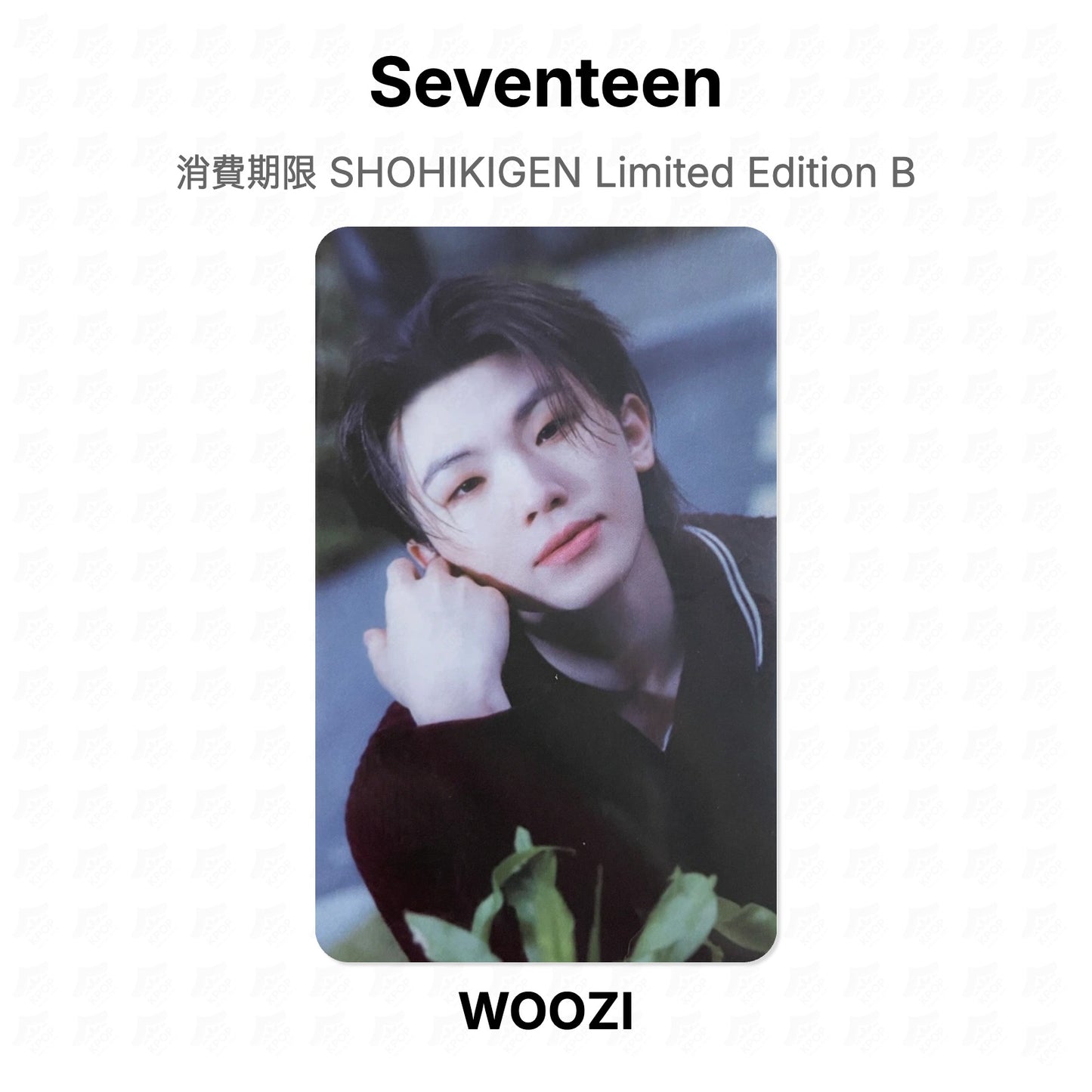 Seventeen 消費期限 SHOHIKIGEN Limited Edition B Official Photocard