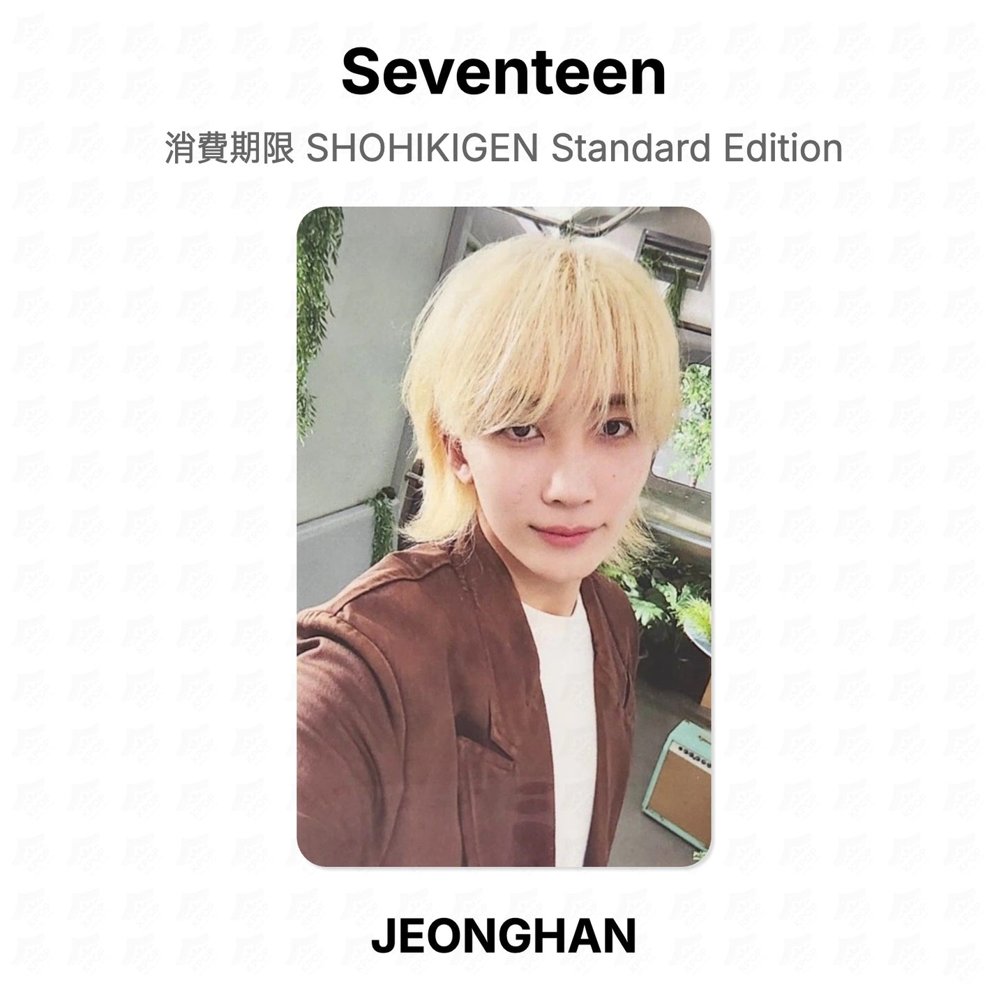 Seventeen 消費期限 SHOHIKIGEN Standard Edition Official Photocard