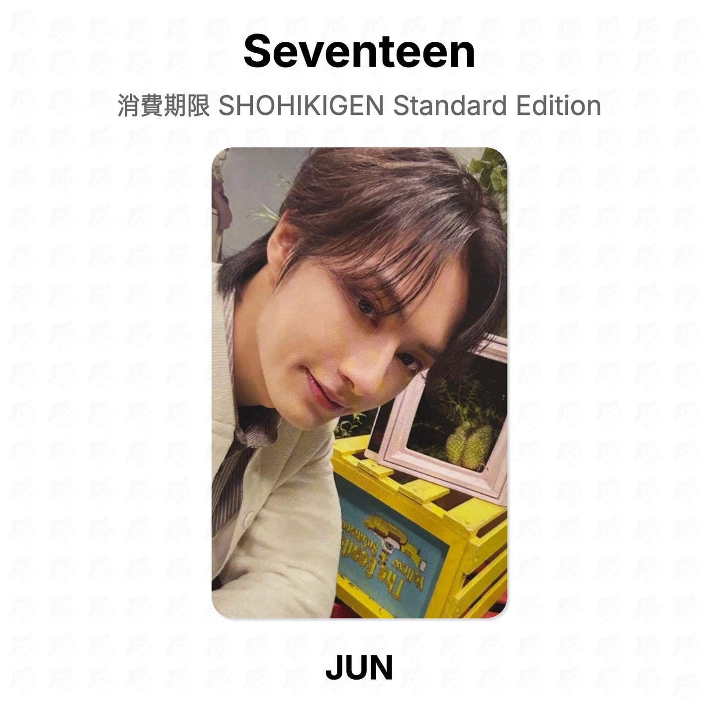 Seventeen 消費期限 SHOHIKIGEN Standard Edition Official Photocard