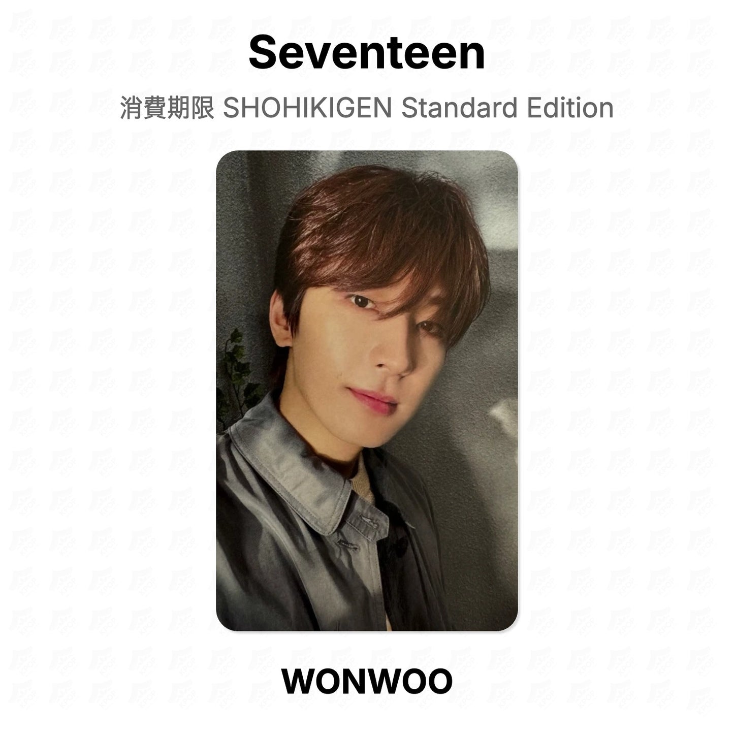 Seventeen 消費期限 SHOHIKIGEN Standard Edition Official Photocard