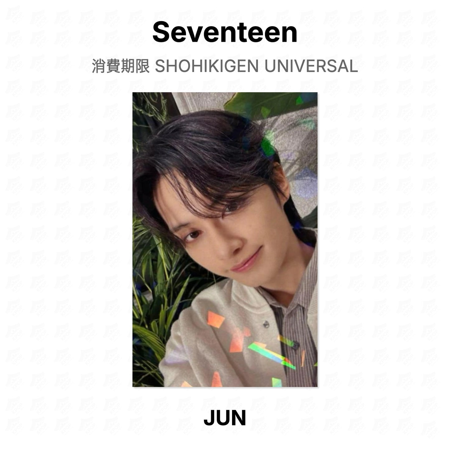 Seventeen 消費期限 SHOHIKIGEN UNIVERSAL Official Photocard