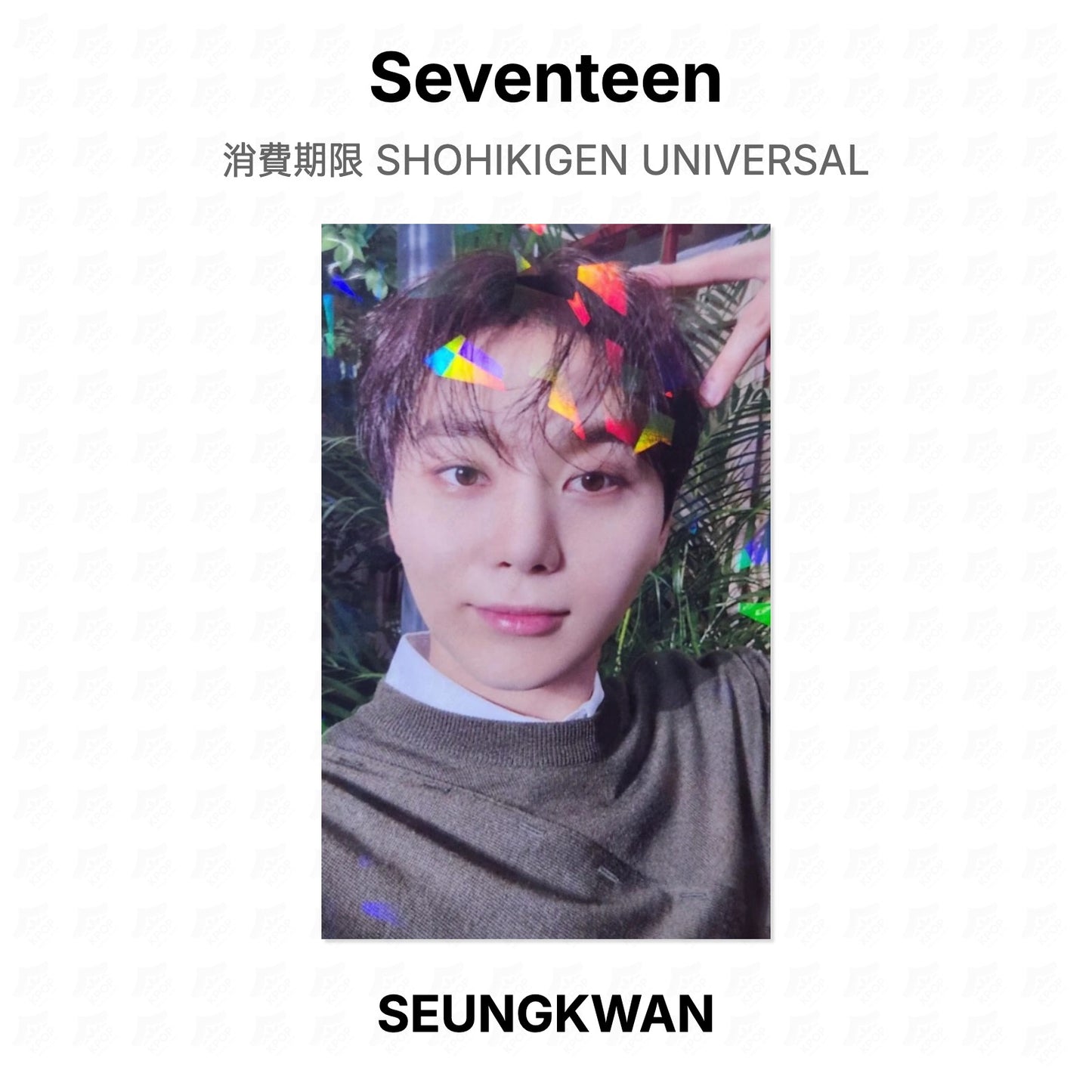 Seventeen 消費期限 SHOHIKIGEN UNIVERSAL Official Photocard