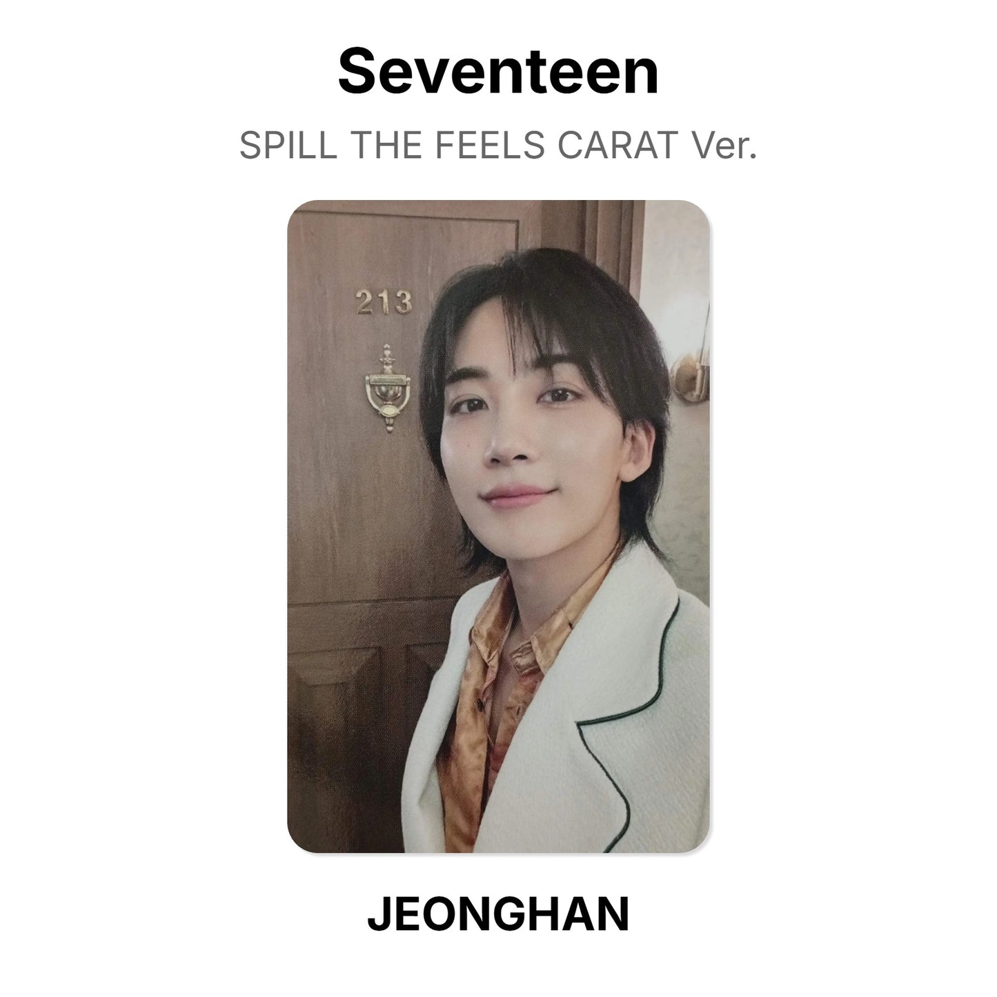 Seventeen SPILL THE FEELS CARAT Ver. Official Photocard