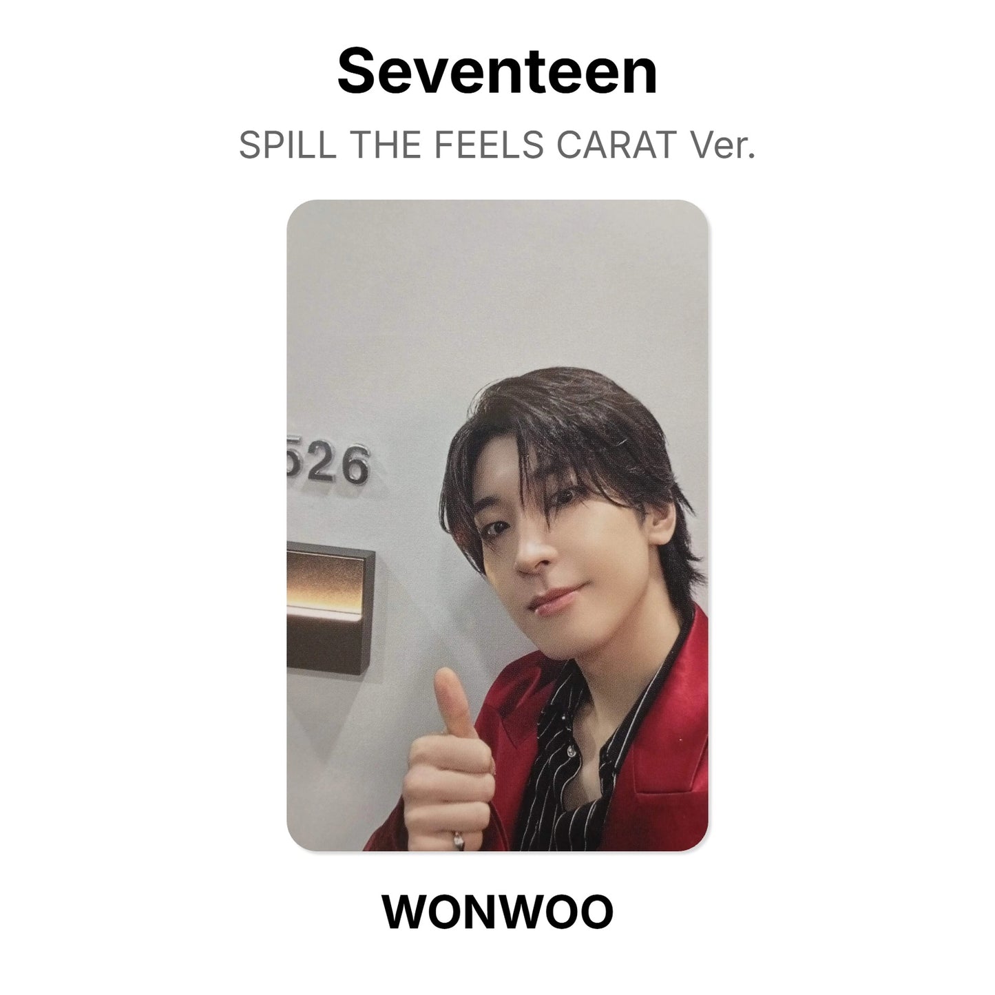 Seventeen SPILL THE FEELS CARAT Ver. Official Photocard