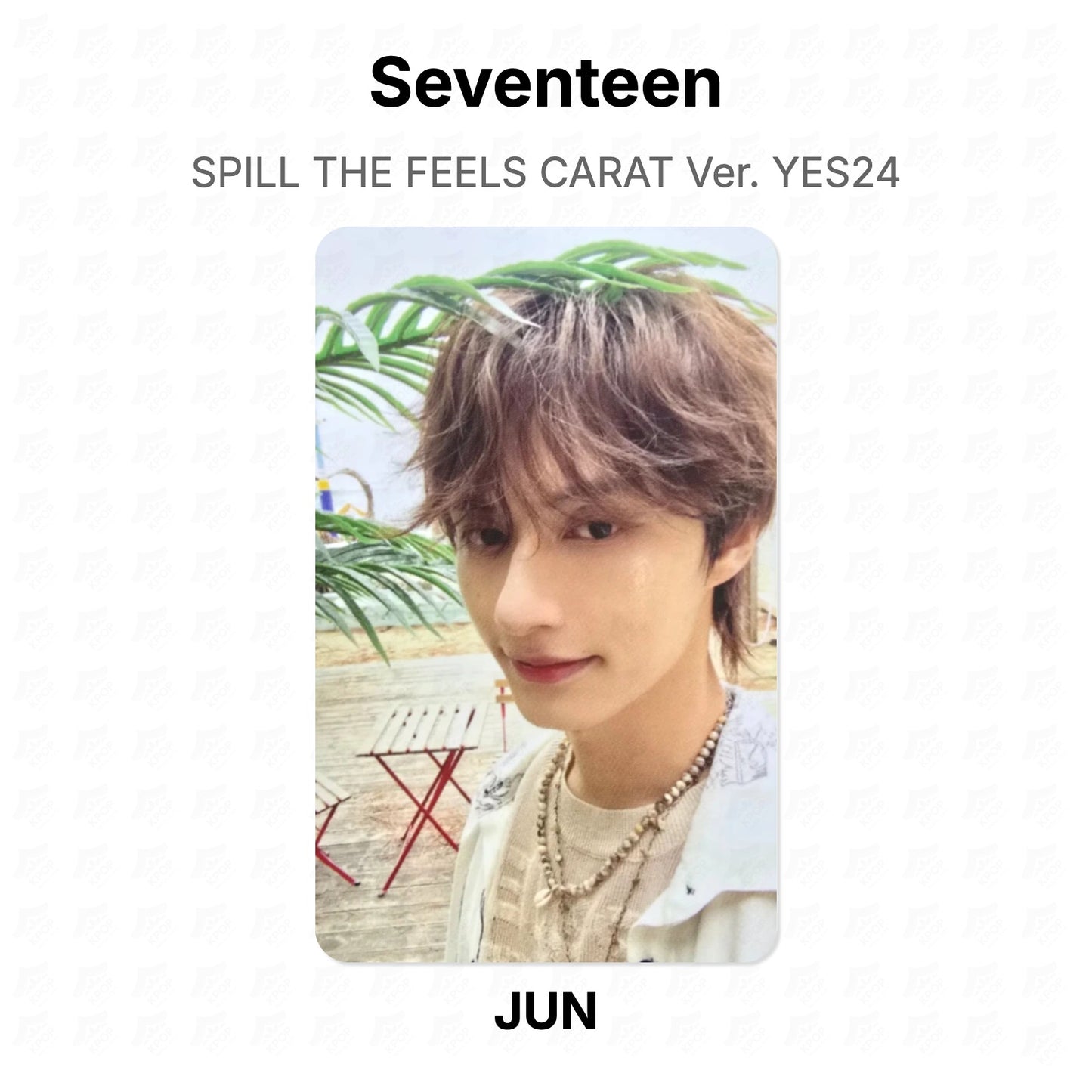 Seventeen SPILL THE FEELS CARAT Ver. YES24 Official Photocard