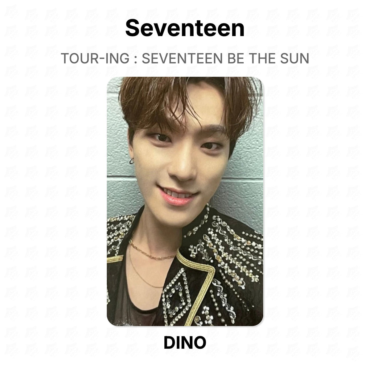 Seventeen TOUR-ING : SEVENTEEN BE THE SUN Official Photocard