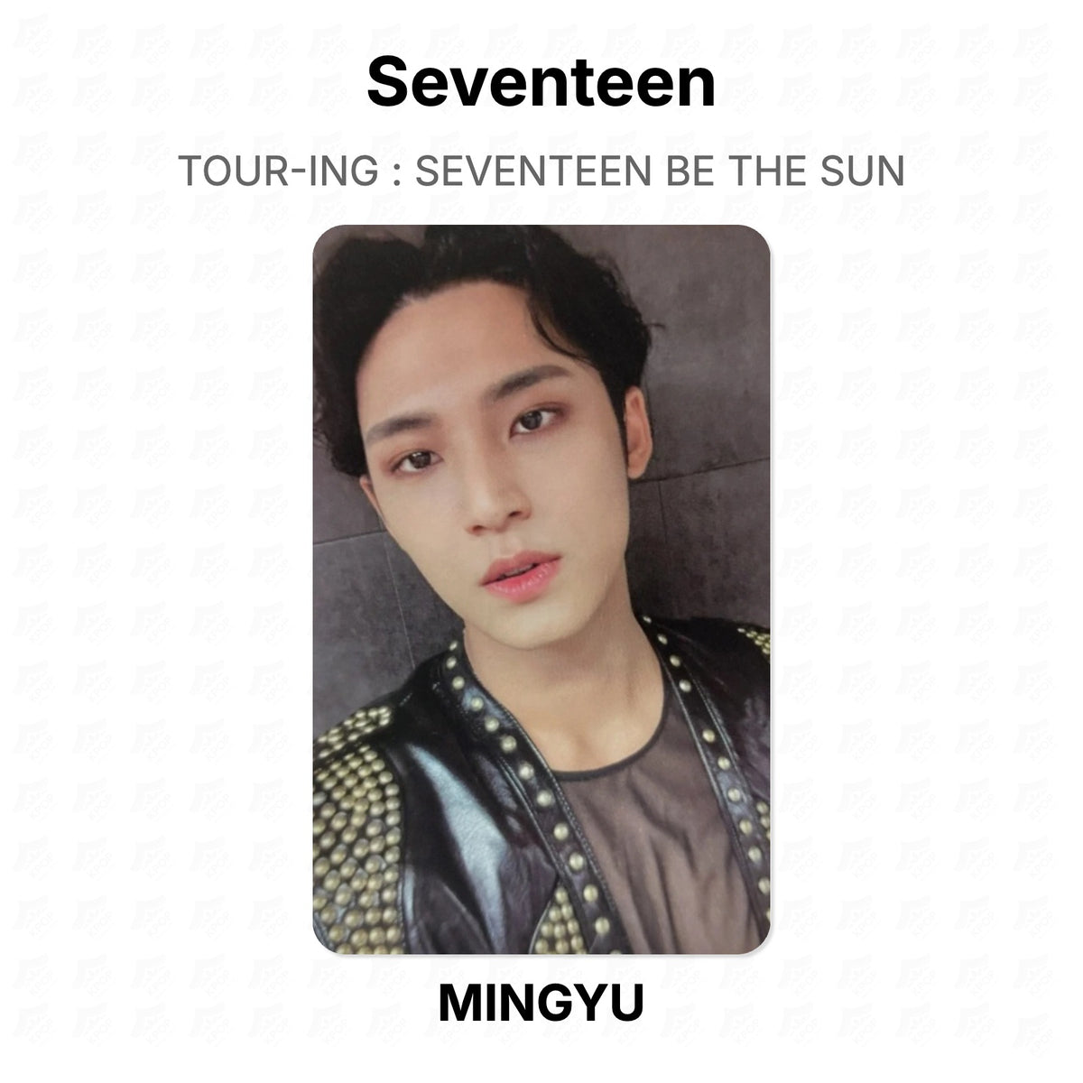 Seventeen TOUR-ING : SEVENTEEN BE THE SUN Official Photocard