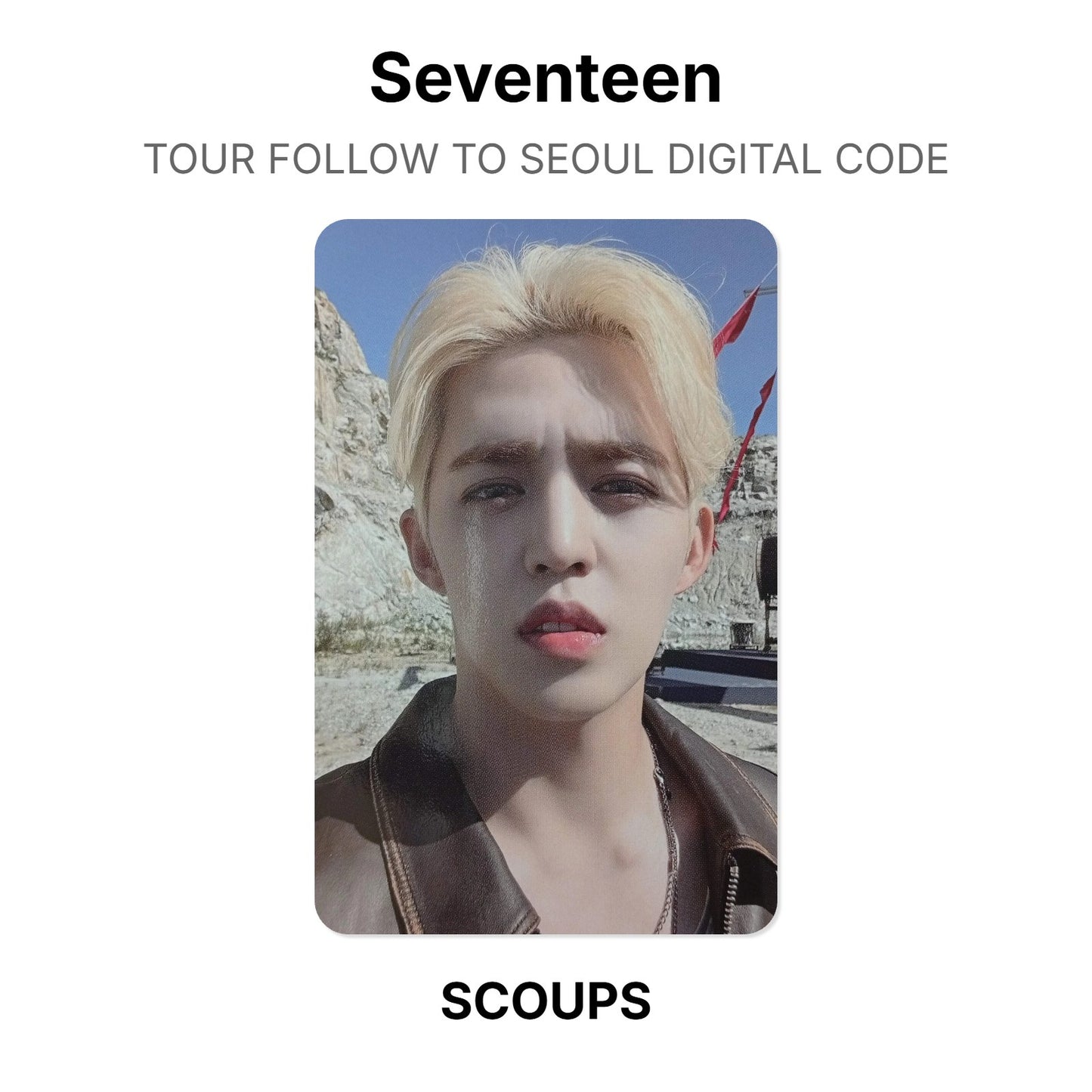 Seventeen TOUR FOLLOW TO SEOUL Official Photocard