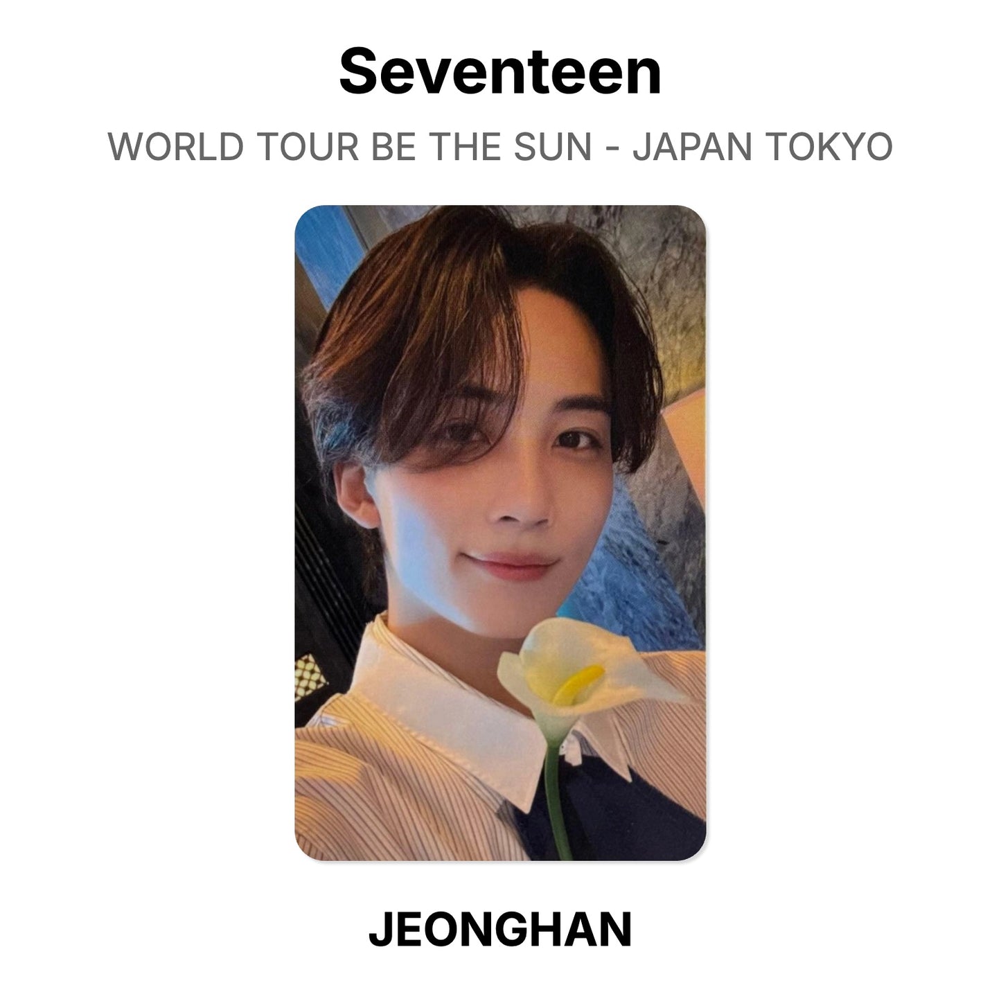 Seventeen WORLD TOUR BE THE SUN - JAPAN TOKYO Official Photocard