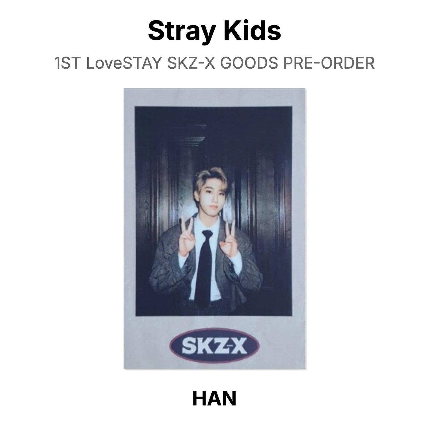 Stray Kids 1ST LoveSTAY SKZ-X GOODS PRE-ORDER Official Photocard