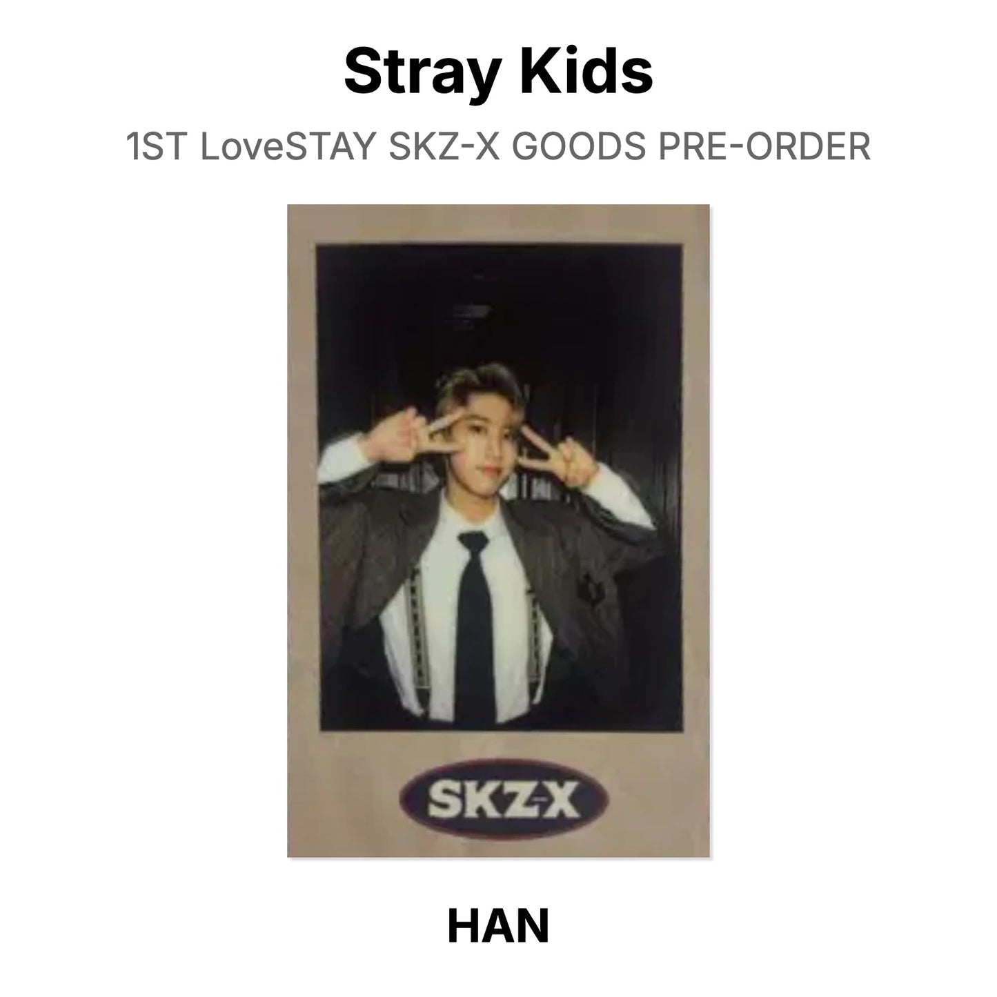 Stray Kids 1ST LoveSTAY SKZ-X GOODS PRE-ORDER Official Photocard