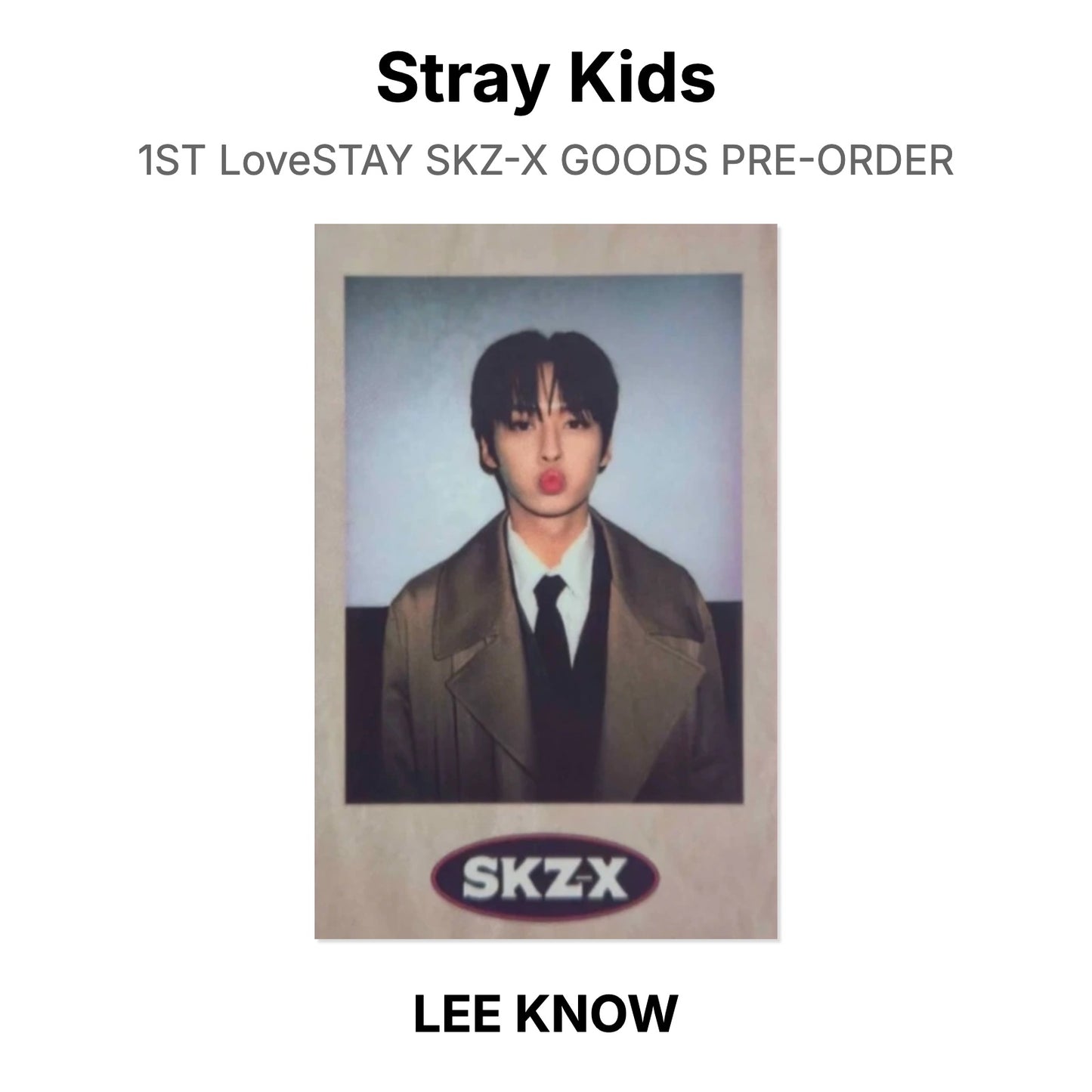 Stray Kids 1ST LoveSTAY SKZ-X GOODS PRE-ORDER Official Photocard