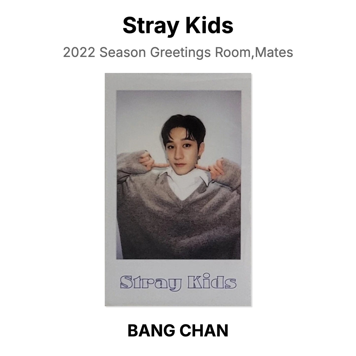 Stray Kids 2022 Season Greetings Room,Mates Official Photocard