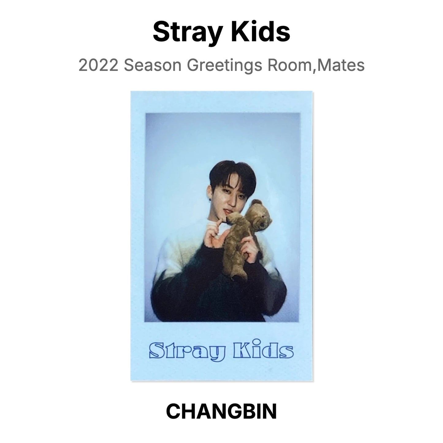 Stray Kids 2022 Season Greetings Room,Mates Official Photocard