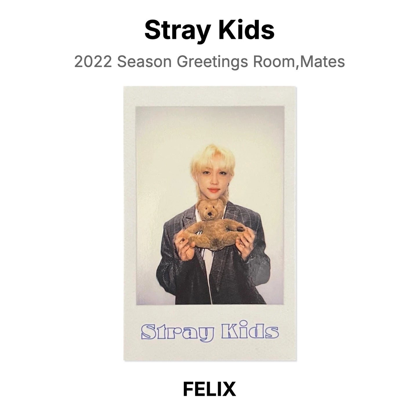 Stray Kids 2022 Season Greetings Room,Mates Official Photocard