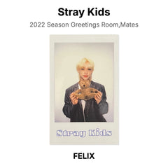 FELIX 02
