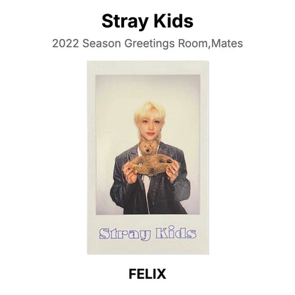 Stray Kids 2022 Season Greetings Room,Mates Official Photocard
