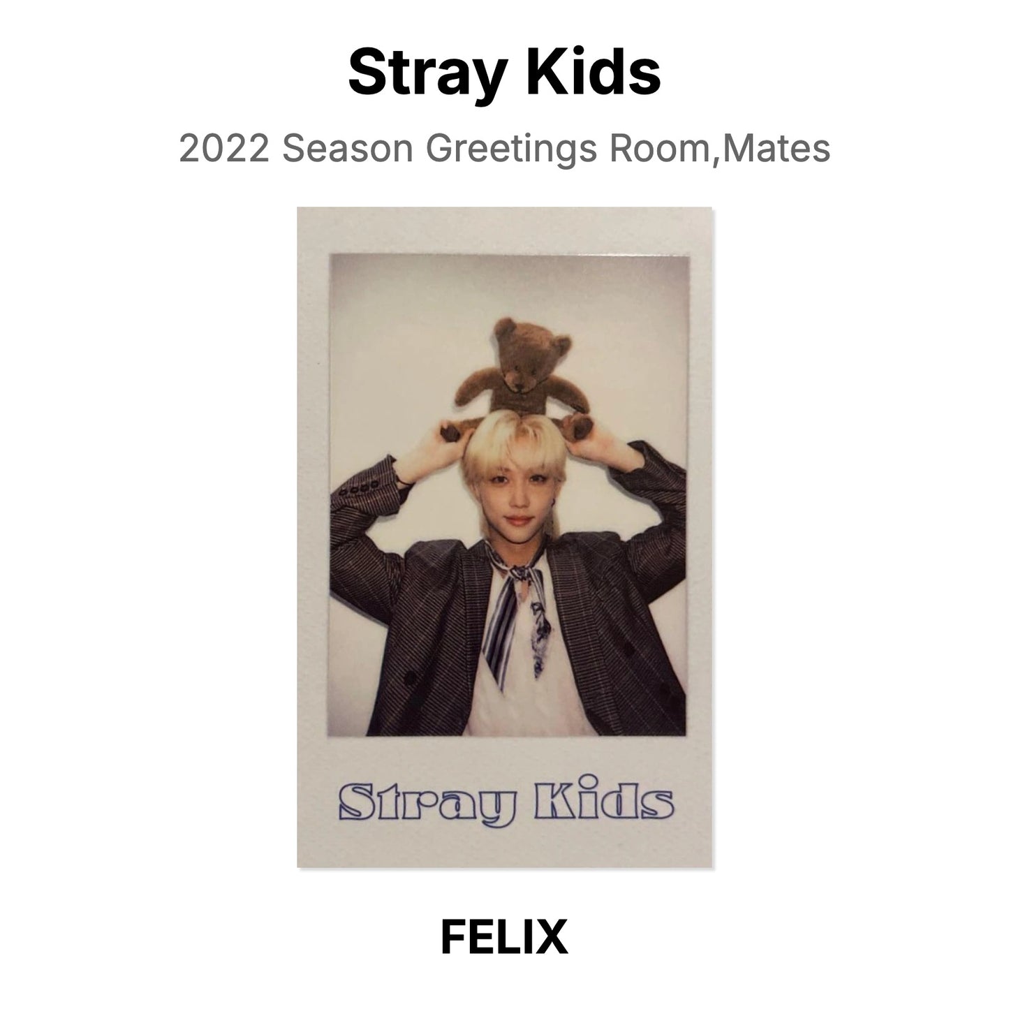 Stray Kids 2022 Season Greetings Room,Mates Official Photocard