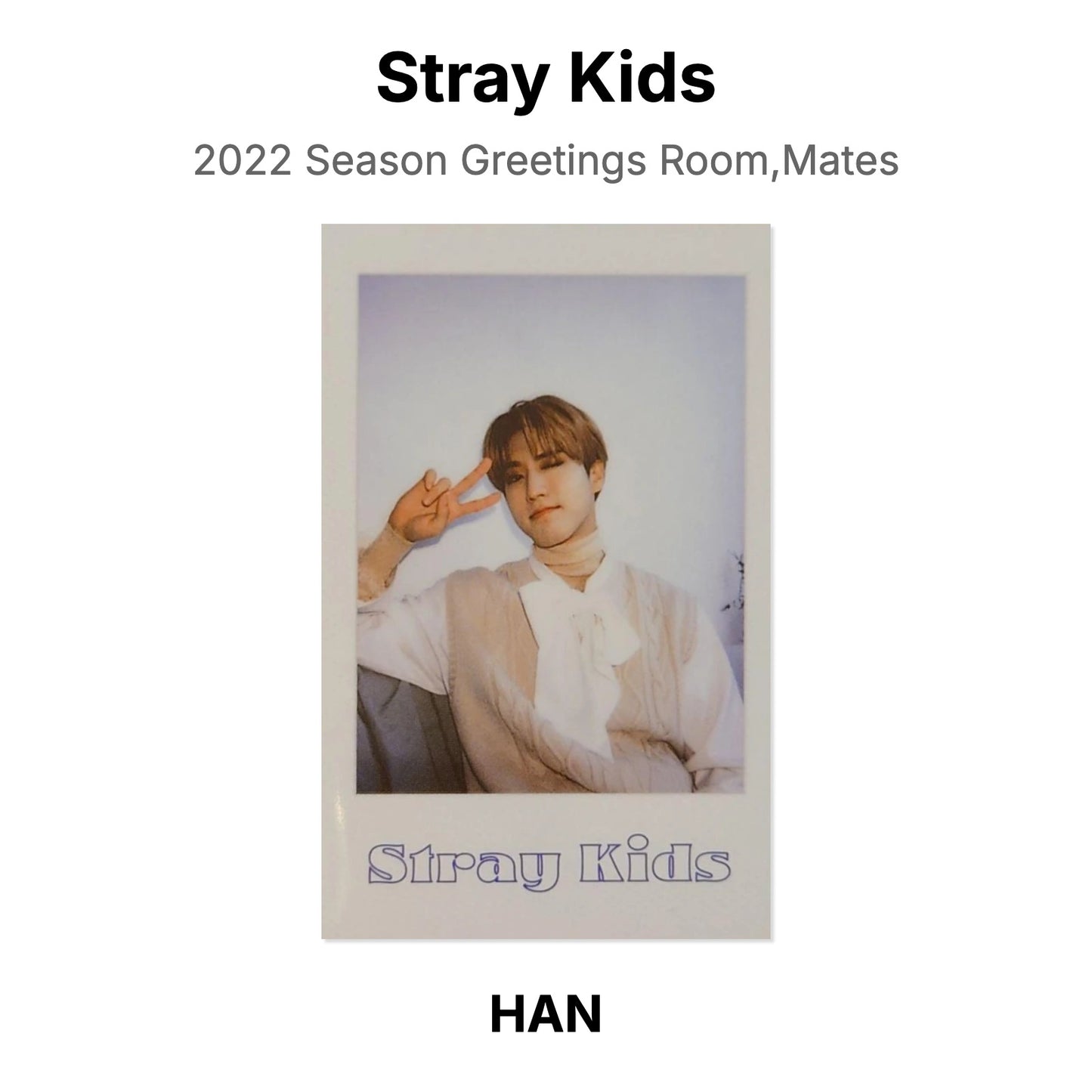 Stray Kids 2022 Season Greetings Room,Mates Official Photocard