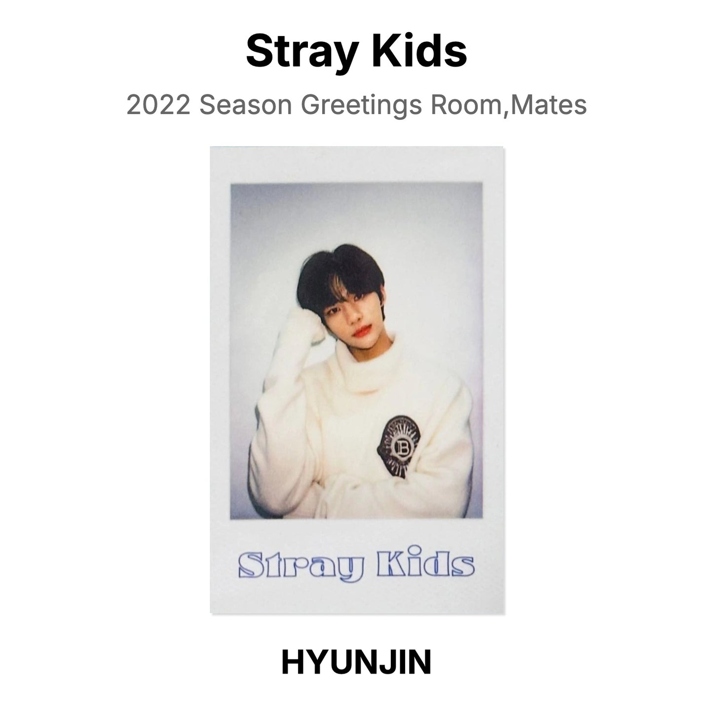 Stray Kids 2022 Season Greetings Room,Mates Official Photocard