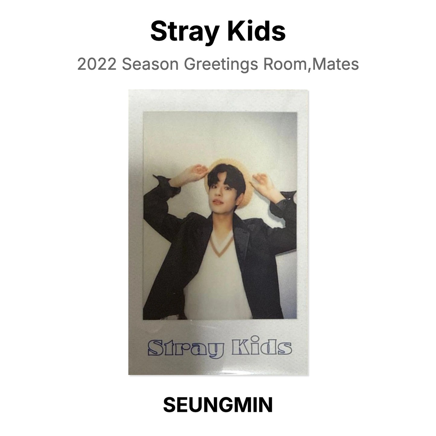 Stray Kids 2022 Season Greetings Room,Mates Official Photocard
