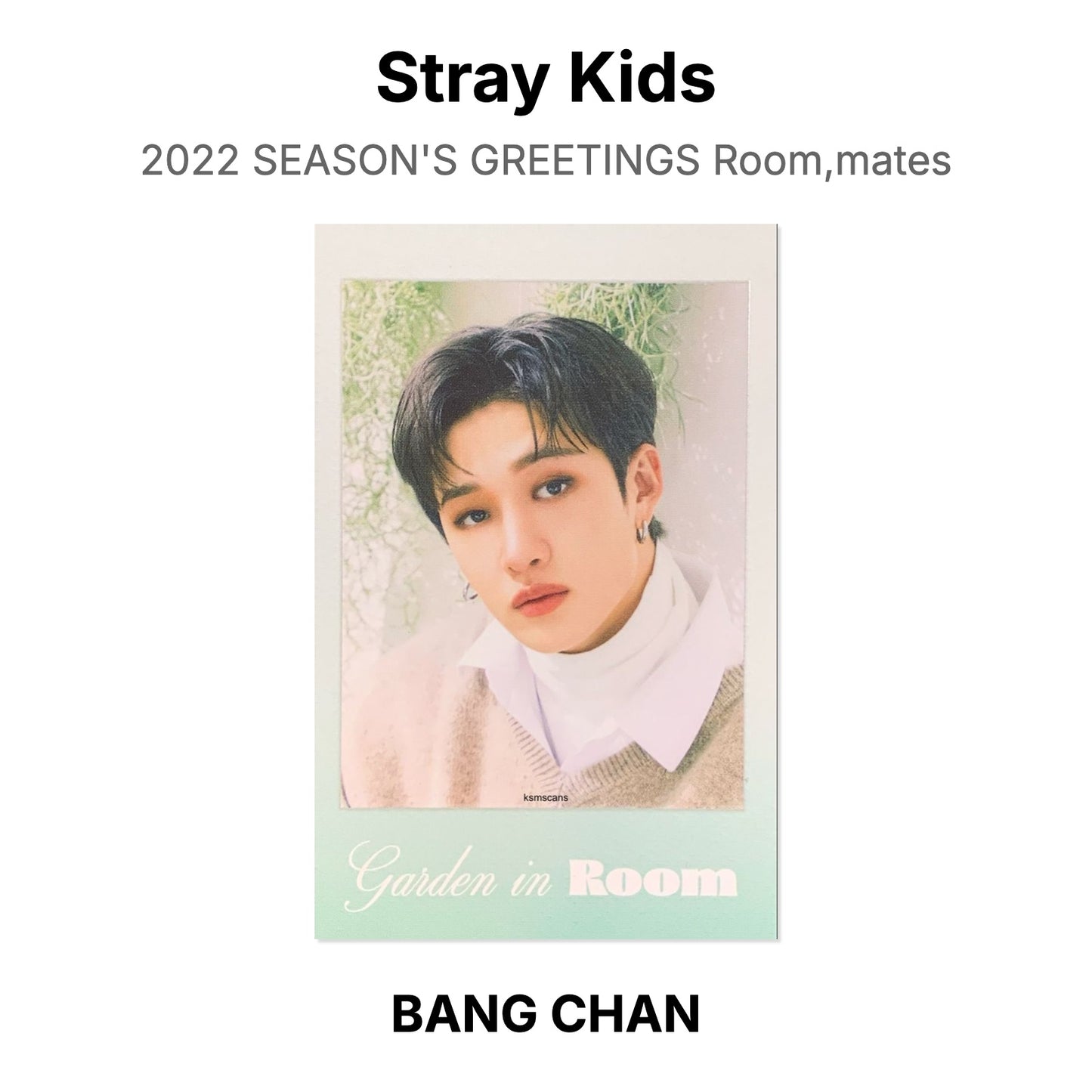 Stray Kids 2022 SEASON'S GREETINGS Room,mates Official Photocard