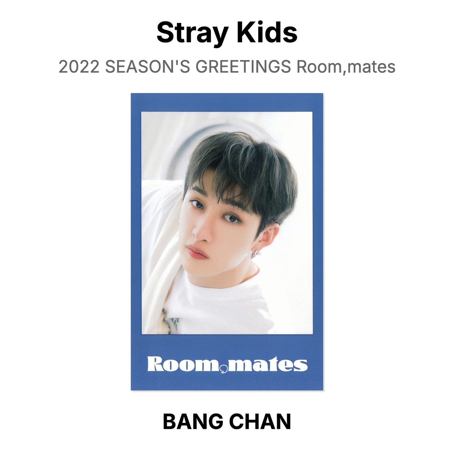 Stray Kids 2022 SEASON'S GREETINGS Room,mates Official Photocard