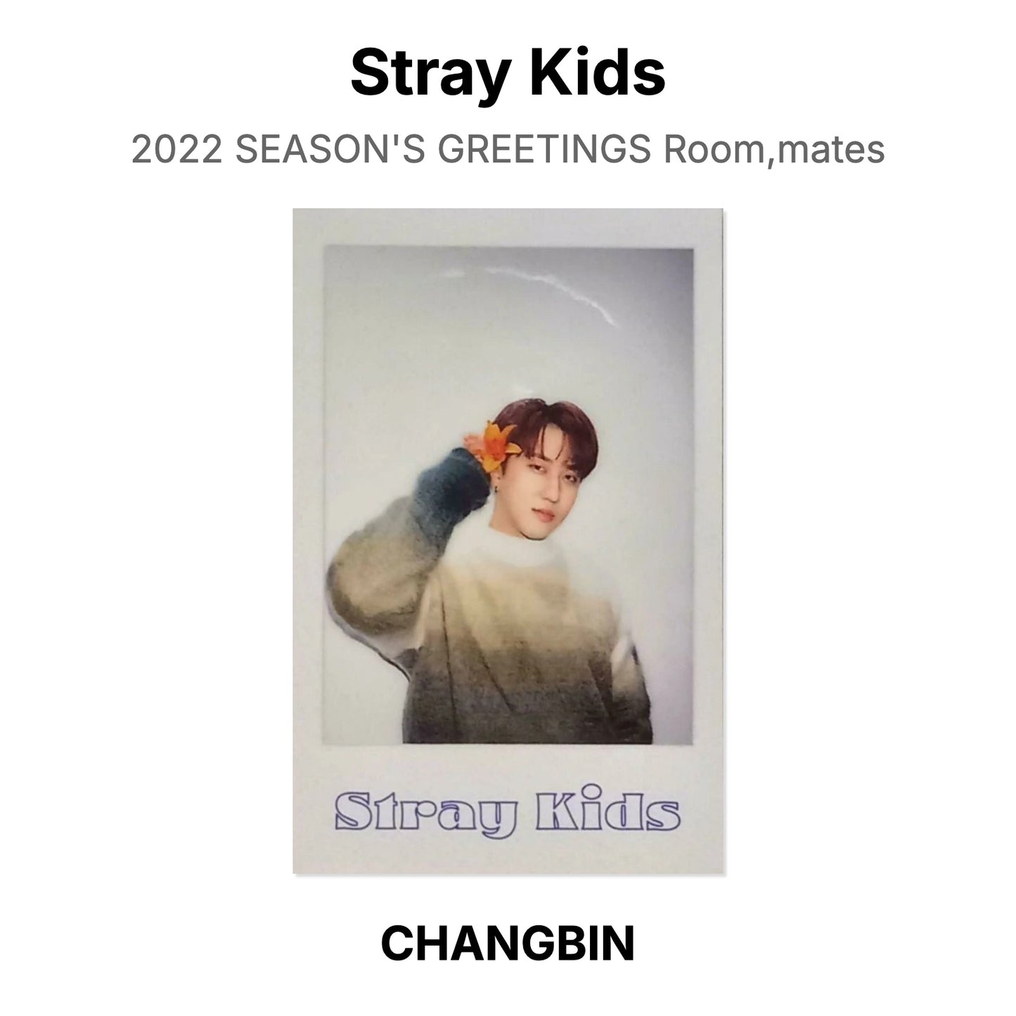 Stray Kids 2022 SEASON'S GREETINGS Room,mates Official Photocard