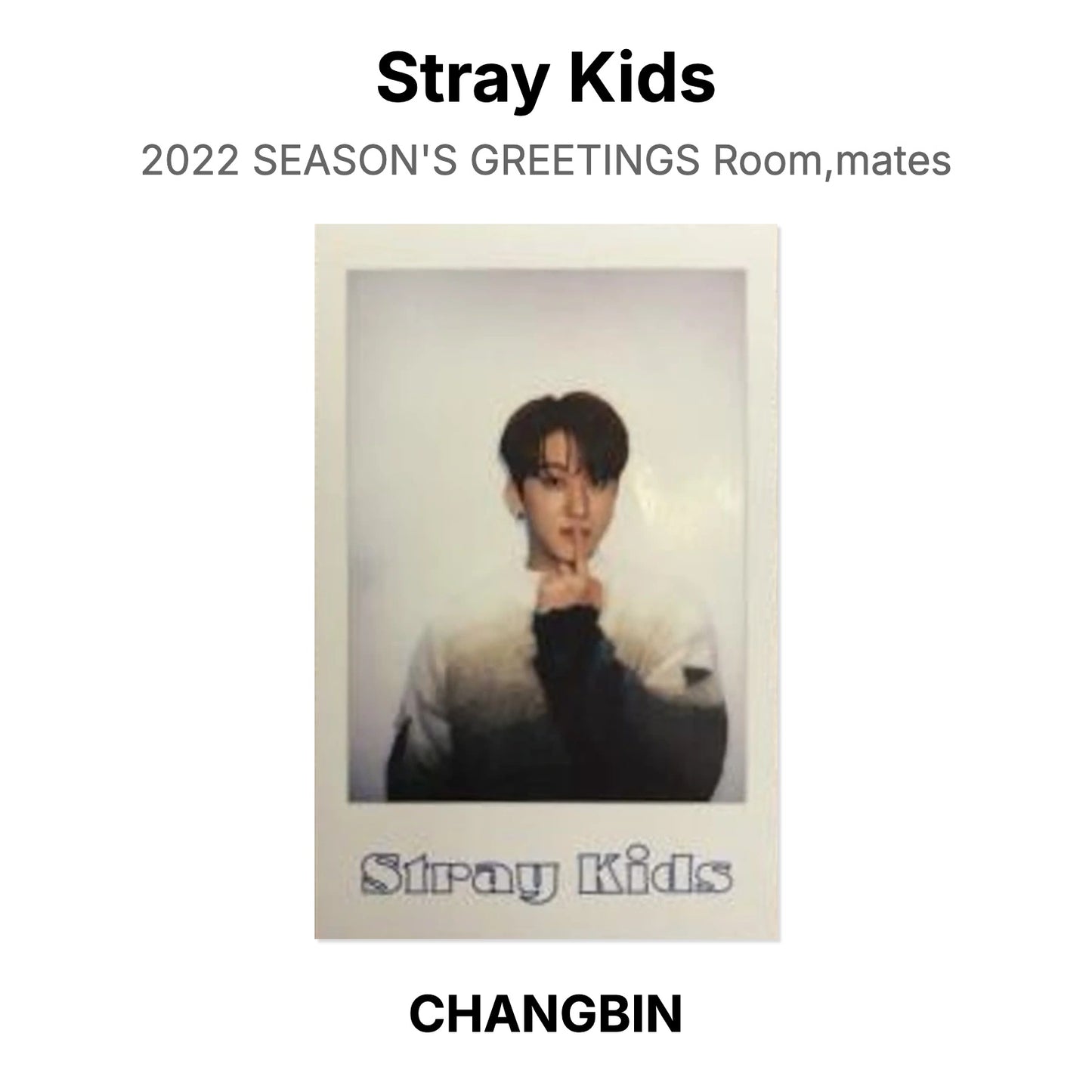 Stray Kids 2022 SEASON'S GREETINGS Room,mates Official Photocard