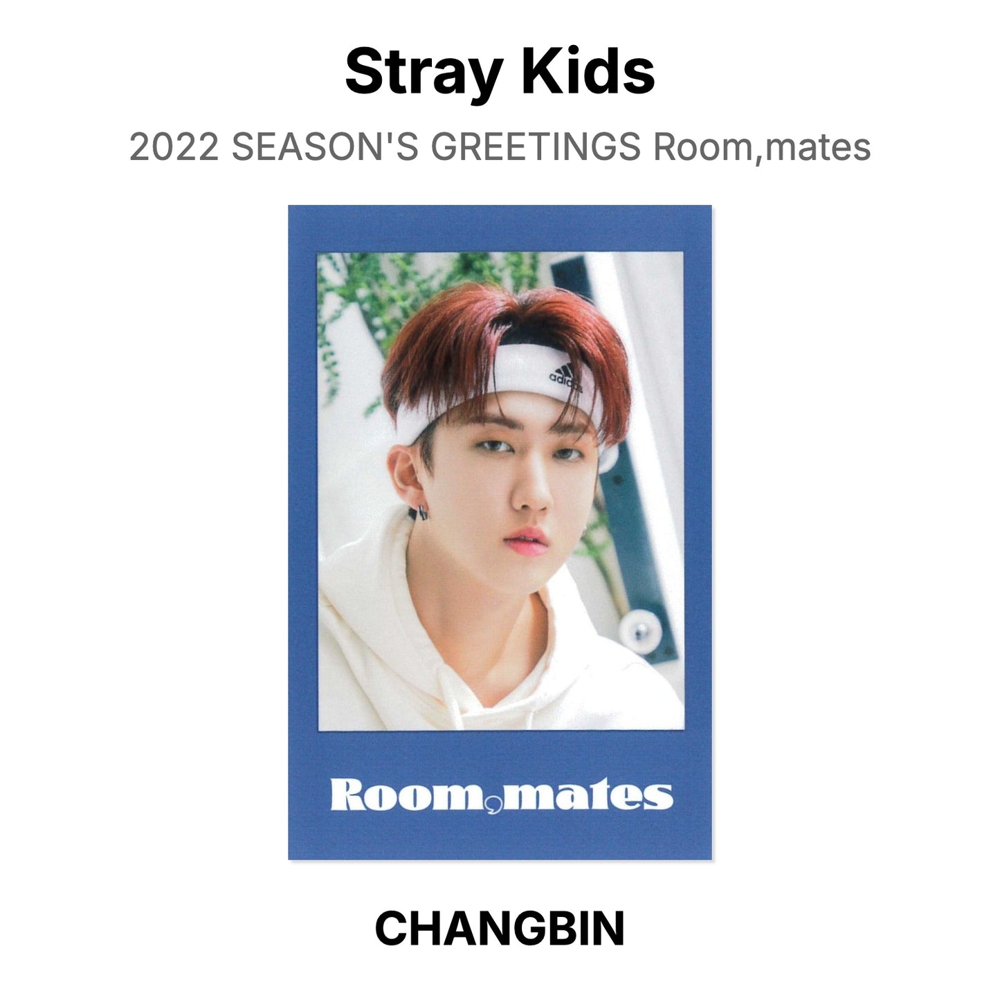 Stray Kids 2022 SEASON'S GREETINGS Room,mates Official Photocard