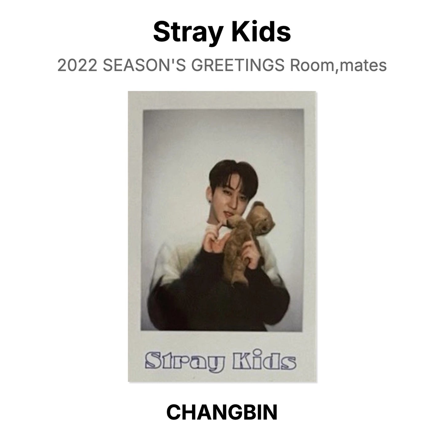Stray Kids 2022 SEASON'S GREETINGS Room,mates Official Photocard