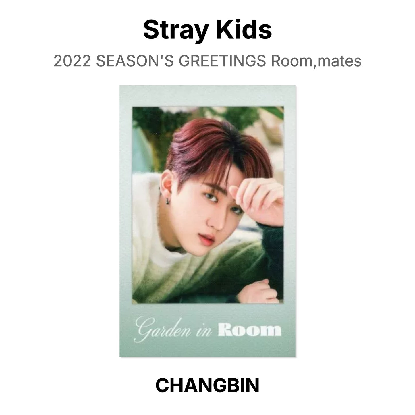 Stray Kids 2022 SEASON'S GREETINGS Room,mates Official Photocard