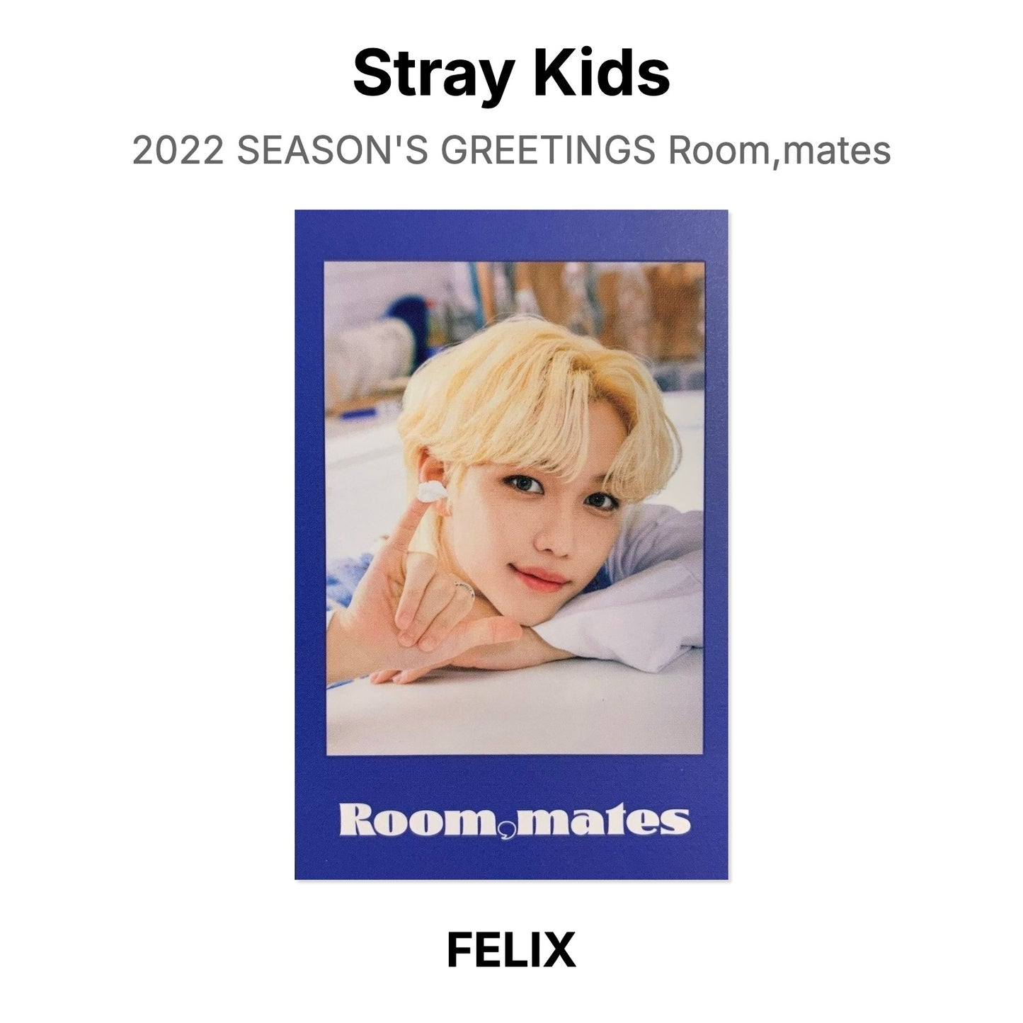 Stray Kids 2022 SEASON'S GREETINGS Room,mates Official Photocard