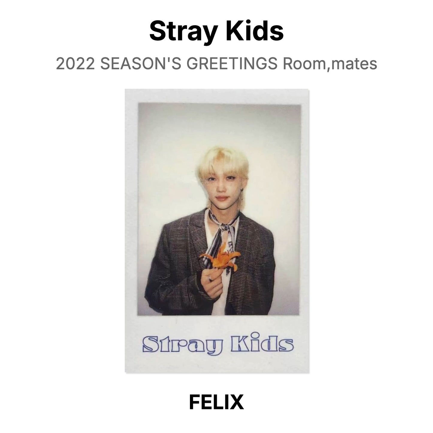 Stray Kids 2022 SEASON'S GREETINGS Room,mates Official Photocard