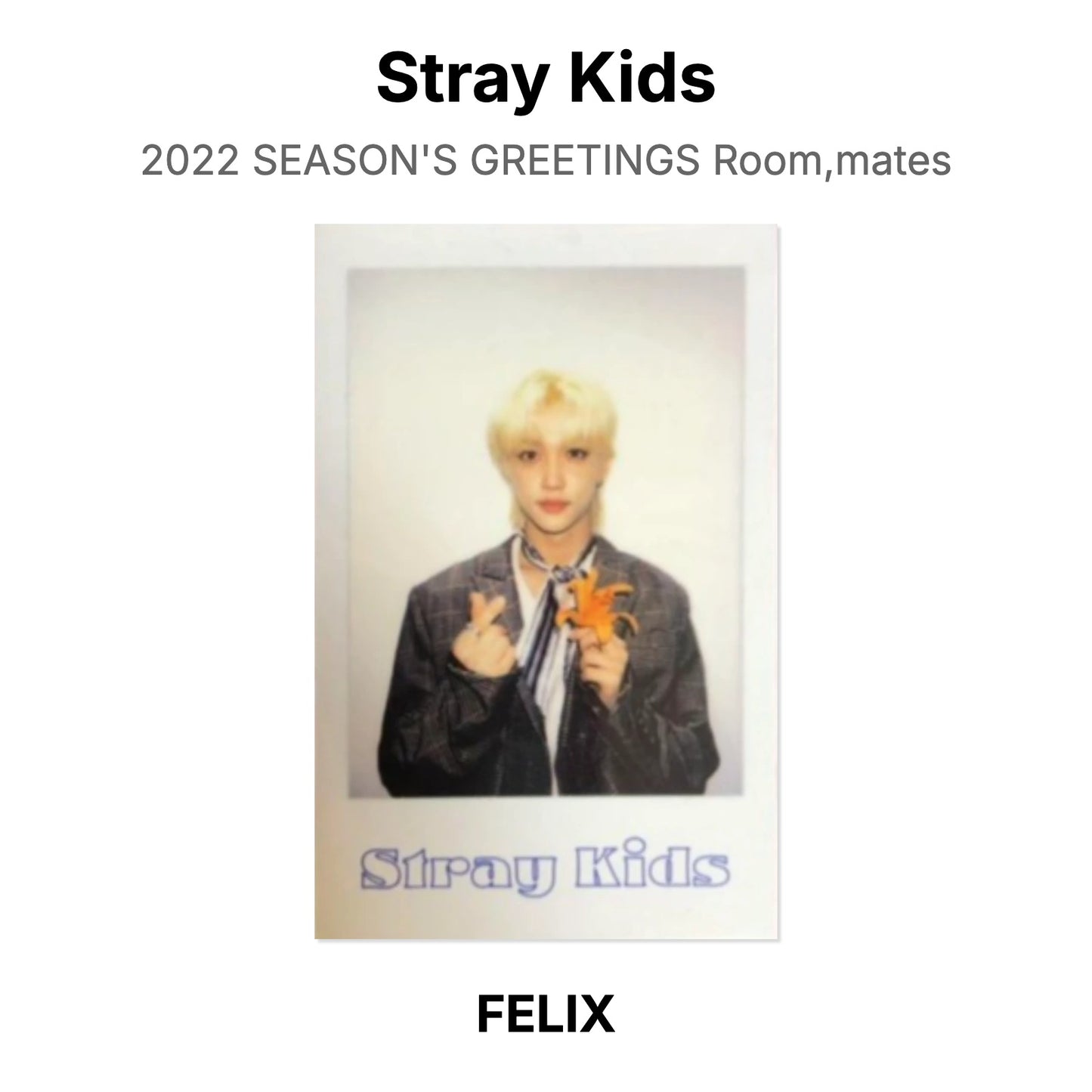 Stray Kids 2022 SEASON'S GREETINGS Room,mates Official Photocard