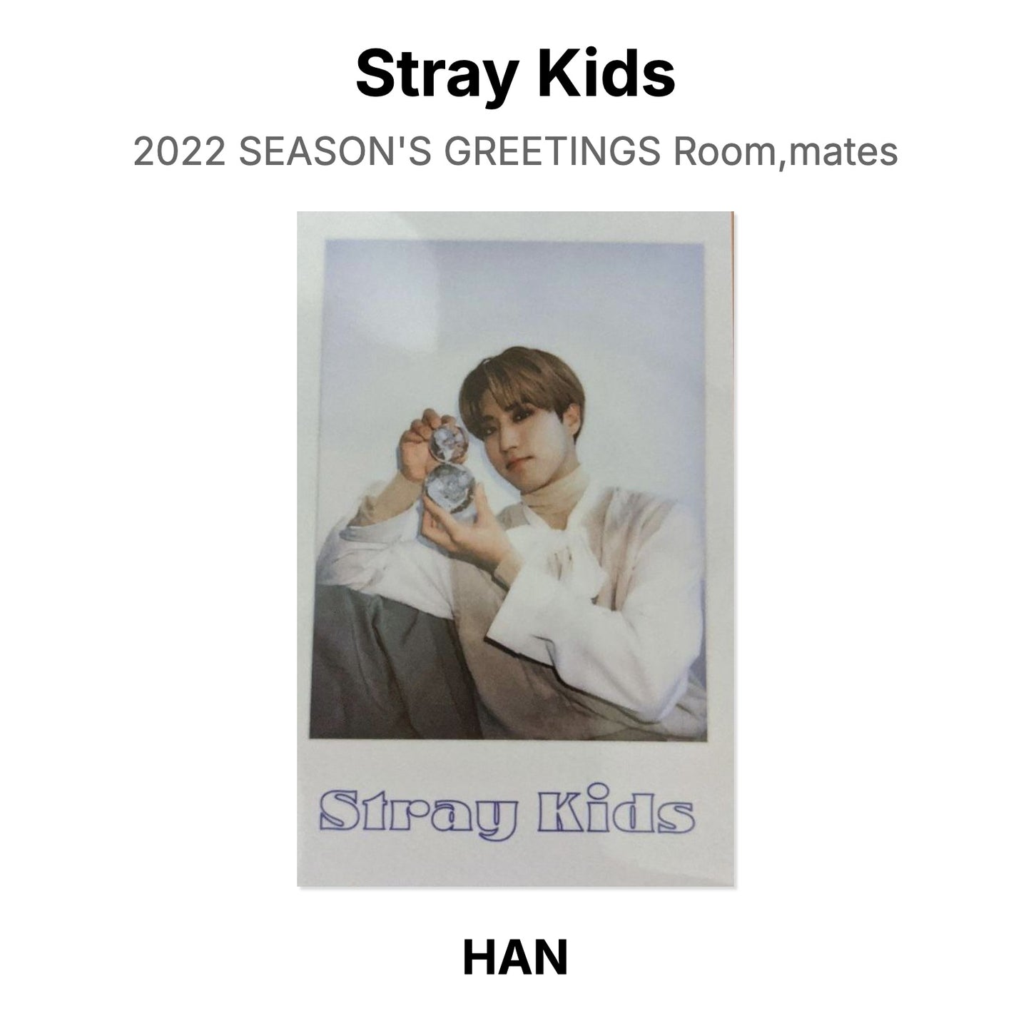 Stray Kids 2022 SEASON'S GREETINGS Room,mates Official Photocard