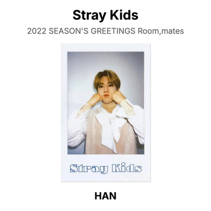 Stray Kids 2022 SEASON'S GREETINGS Room,mates Official Photocard