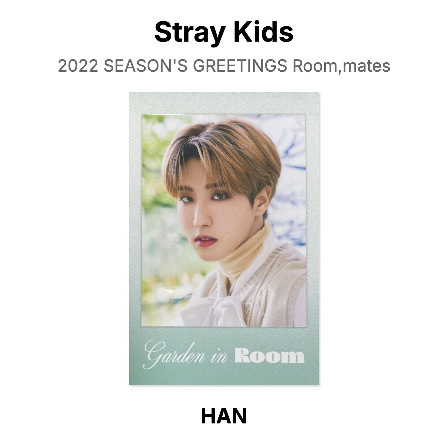 Stray Kids 2022 SEASON'S GREETINGS Room,mates Official Photocard