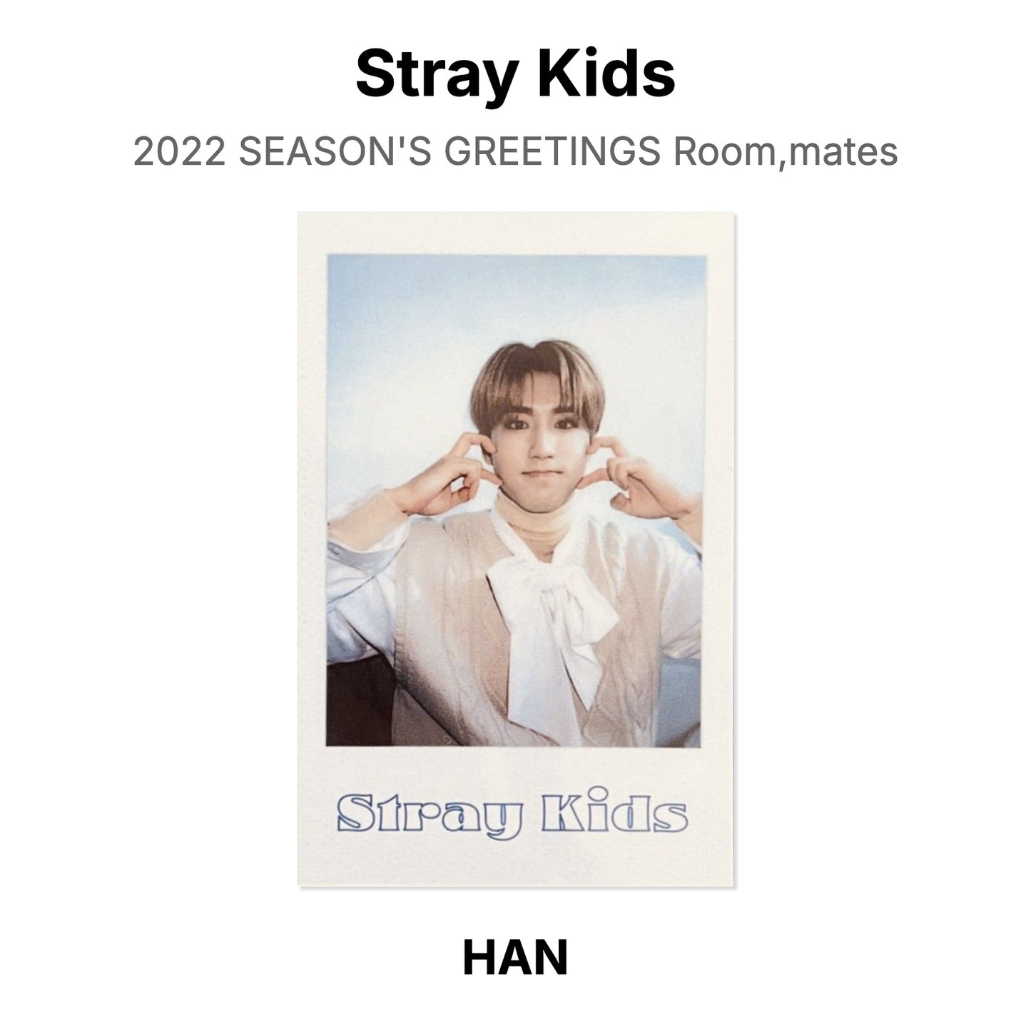 Stray Kids 2022 SEASON'S GREETINGS Room,mates Official Photocard