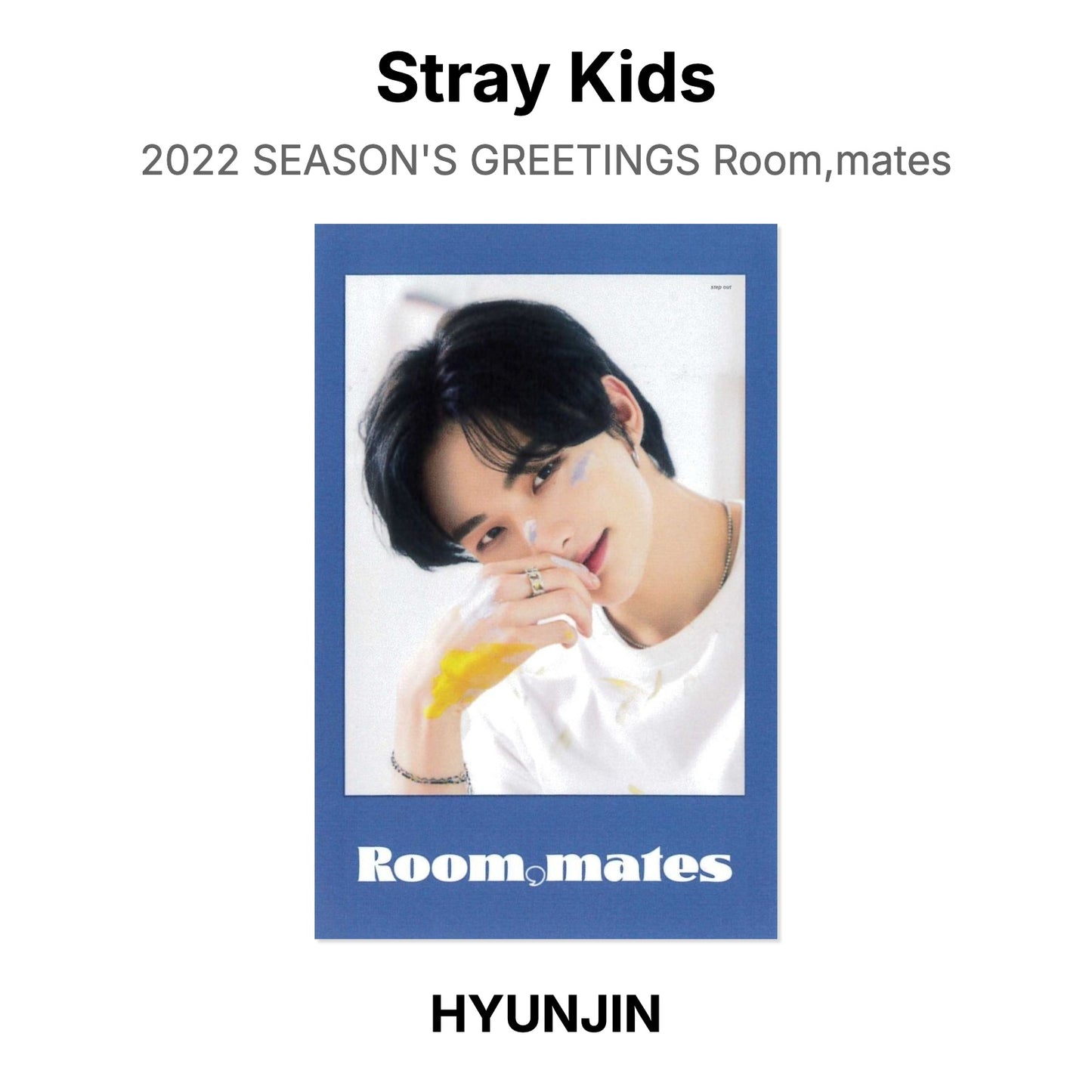 Stray Kids 2022 SEASON'S GREETINGS Room,mates Official Photocard