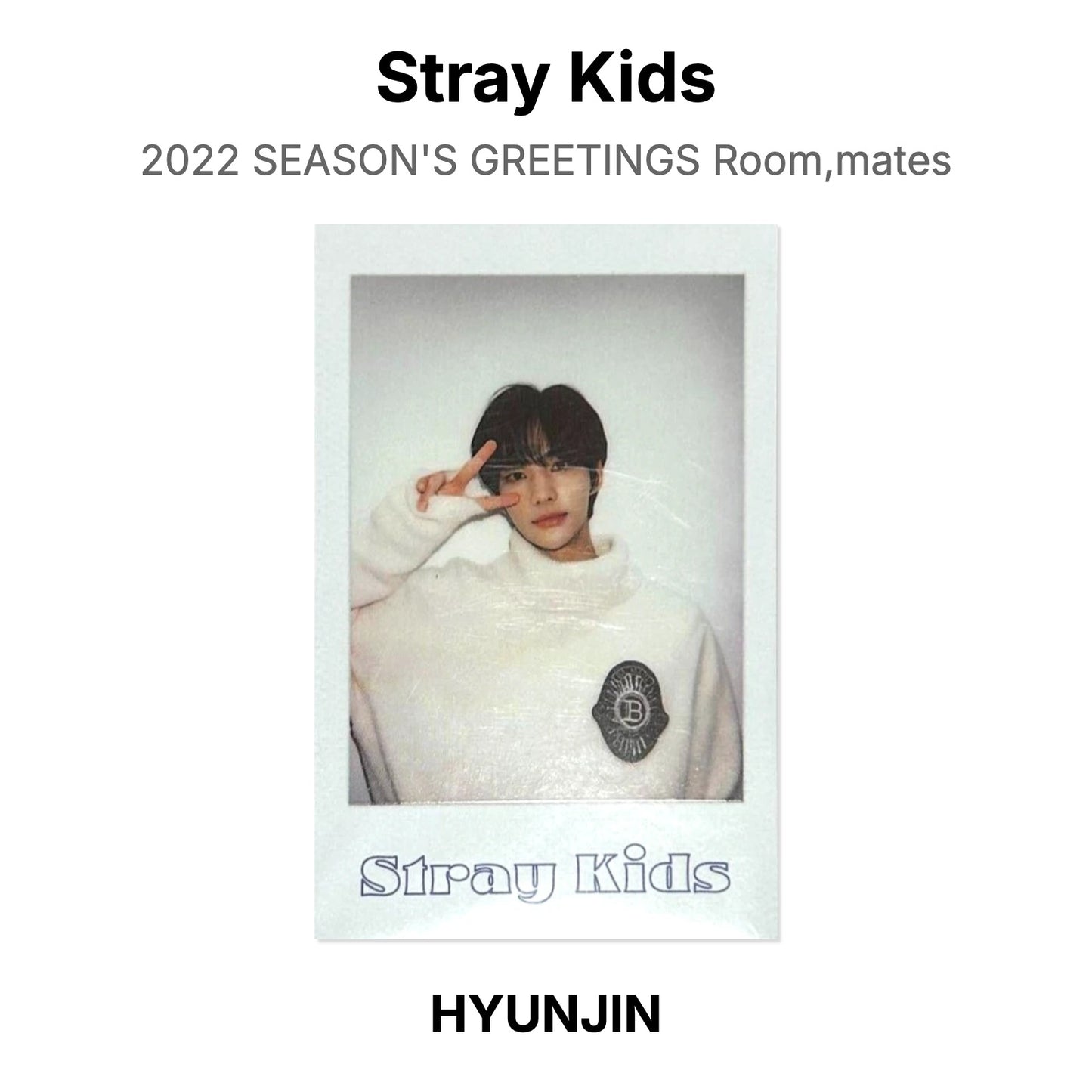 Stray Kids 2022 SEASON'S GREETINGS Room,mates Official Photocard