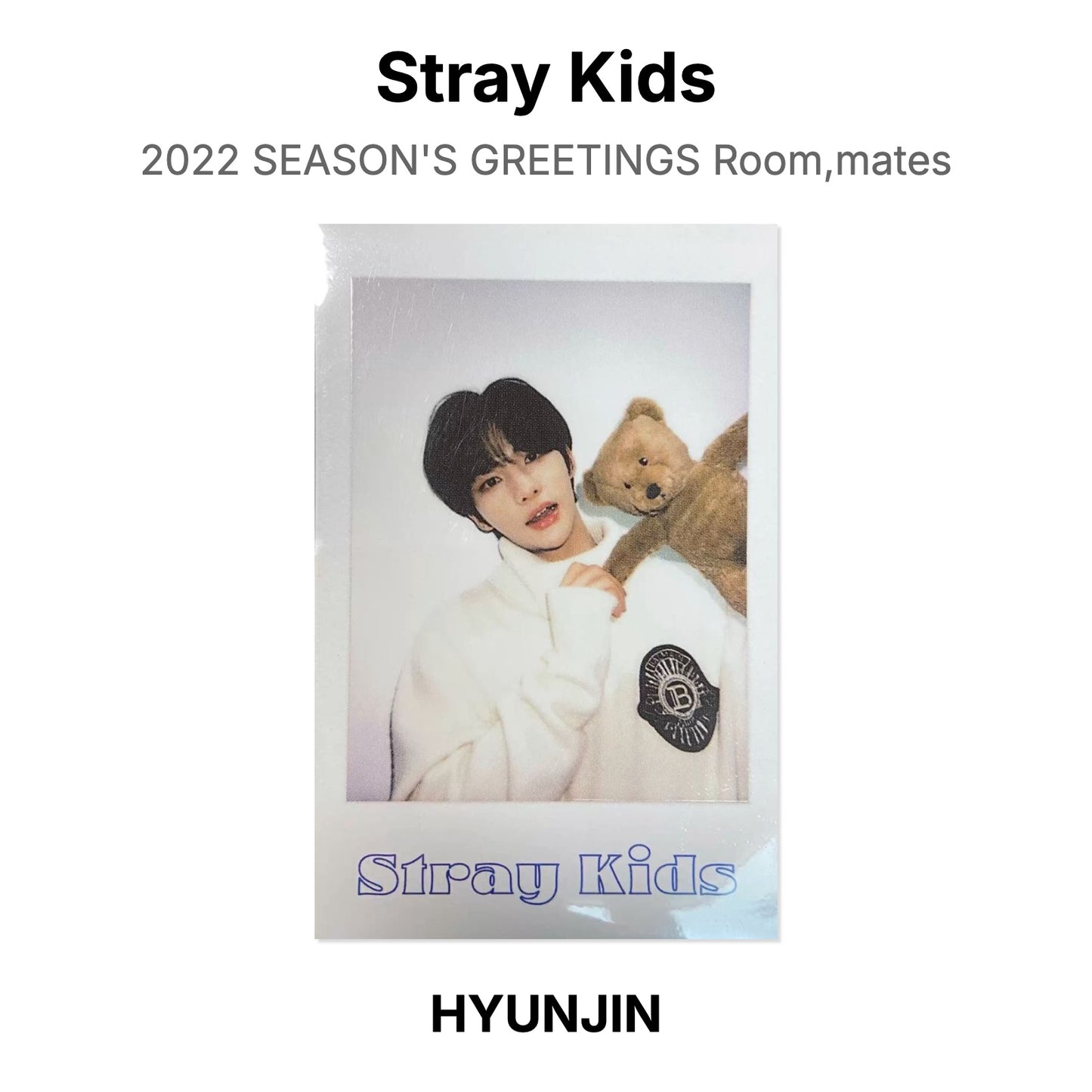 Stray Kids 2022 SEASON'S GREETINGS Room,mates Official Photocard