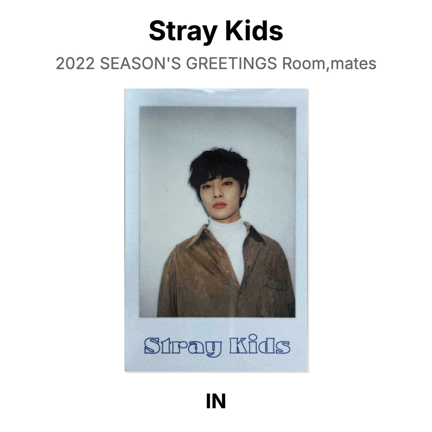 Stray Kids 2022 SEASON'S GREETINGS Room,mates Official Photocard