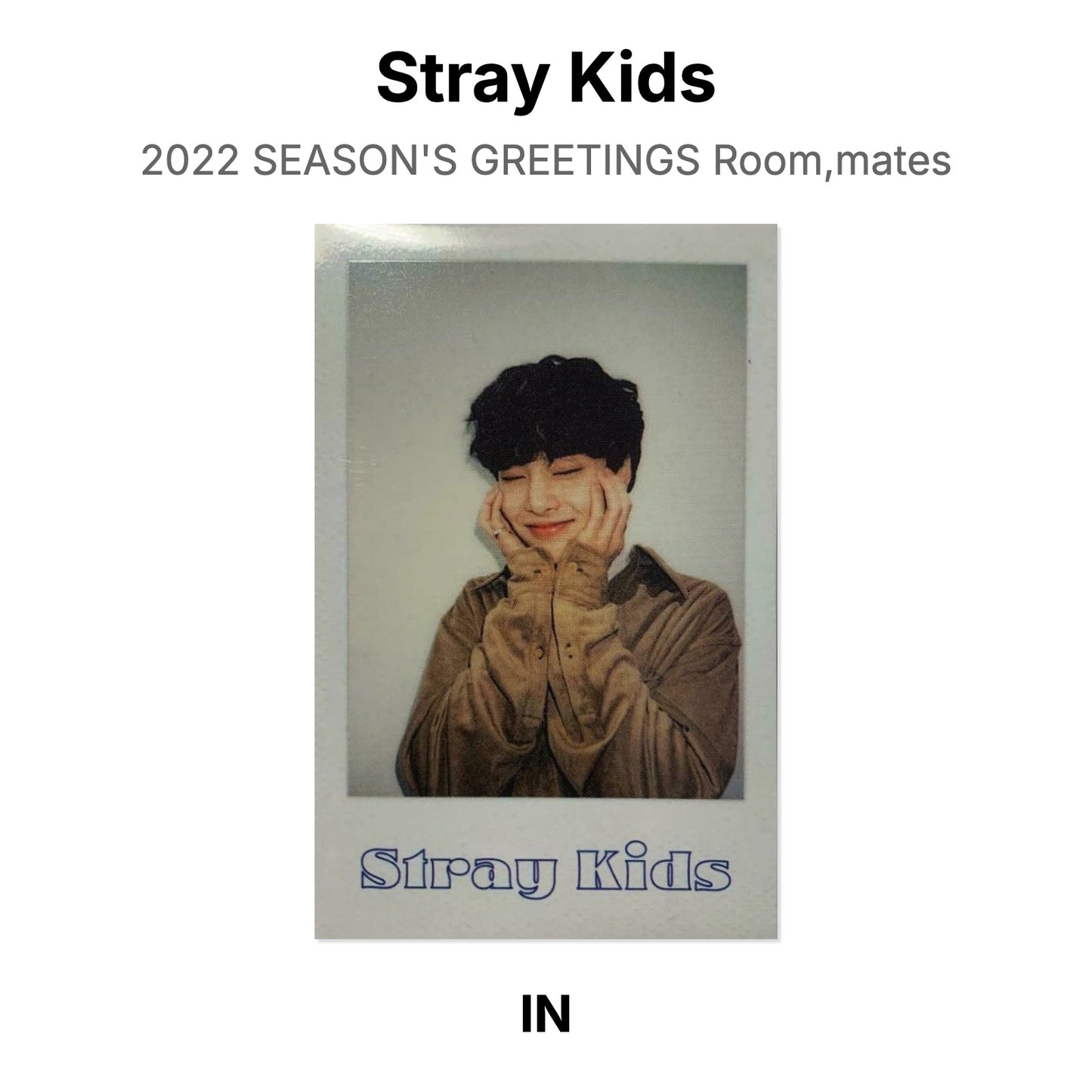 Stray Kids 2022 SEASON'S GREETINGS Room,mates Official Photocard