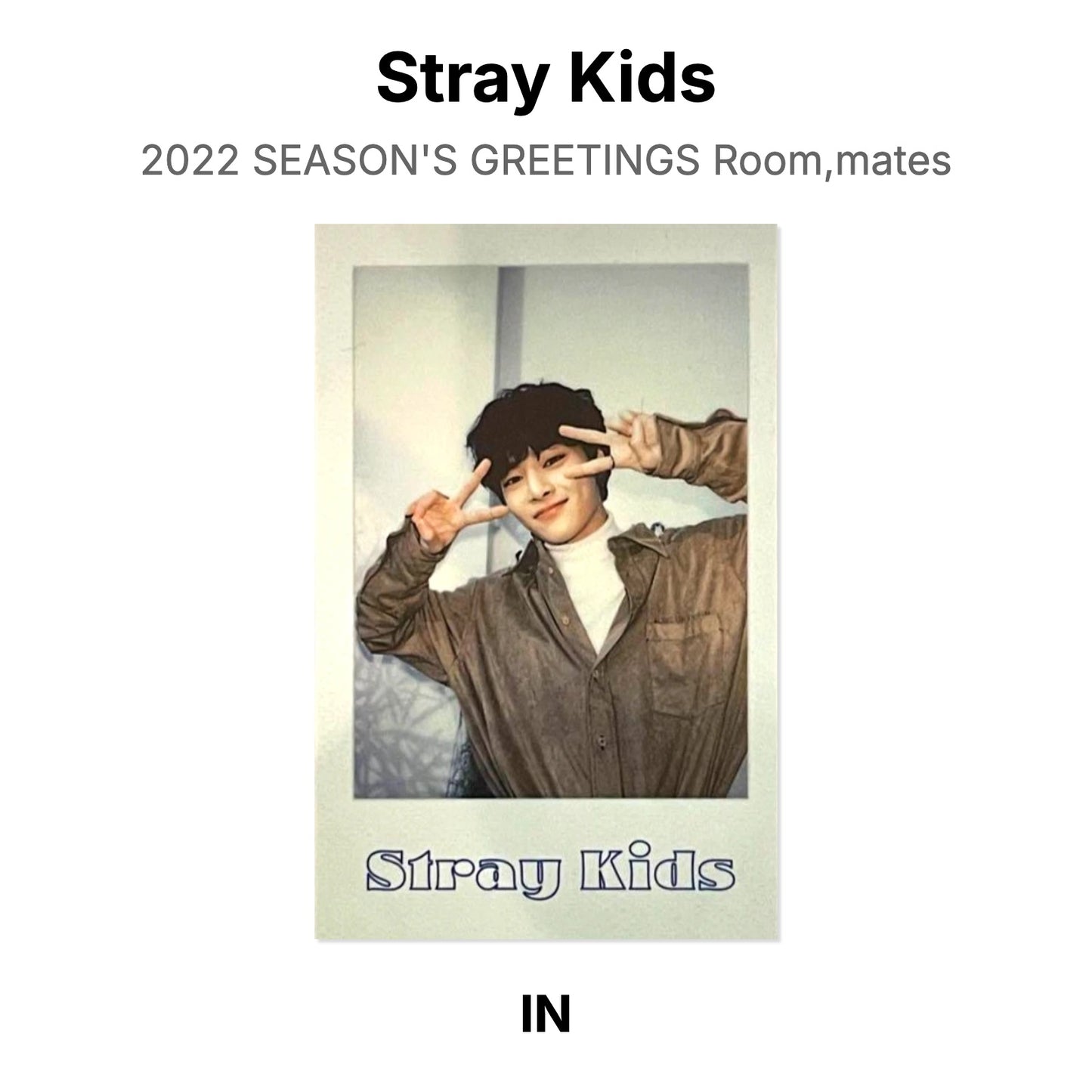 Stray Kids 2022 SEASON'S GREETINGS Room,mates Official Photocard