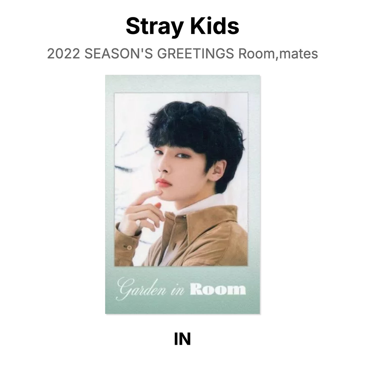 Stray Kids 2022 SEASON'S GREETINGS Room,mates Official Photocard