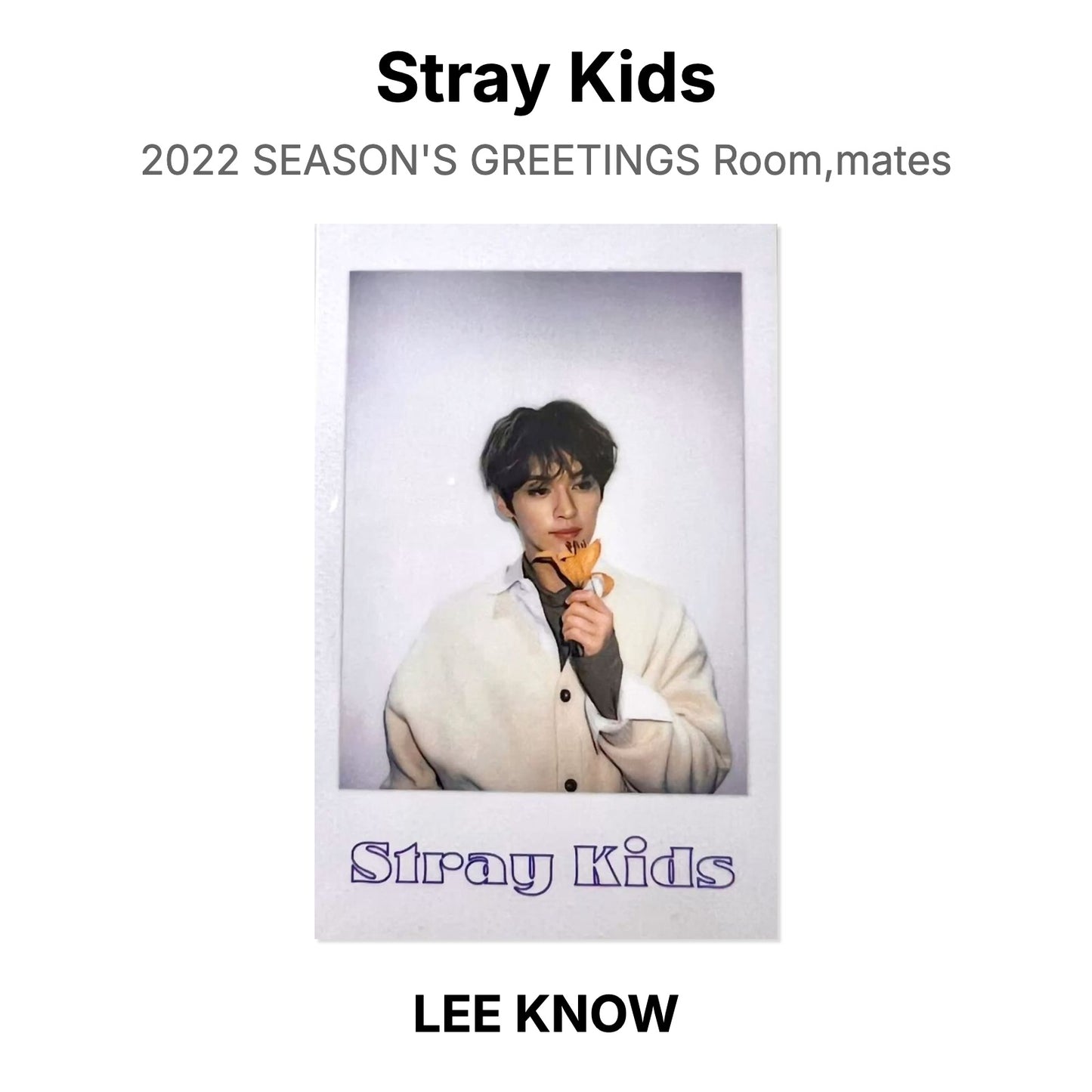 Stray Kids 2022 SEASON'S GREETINGS Room,mates Official Photocard
