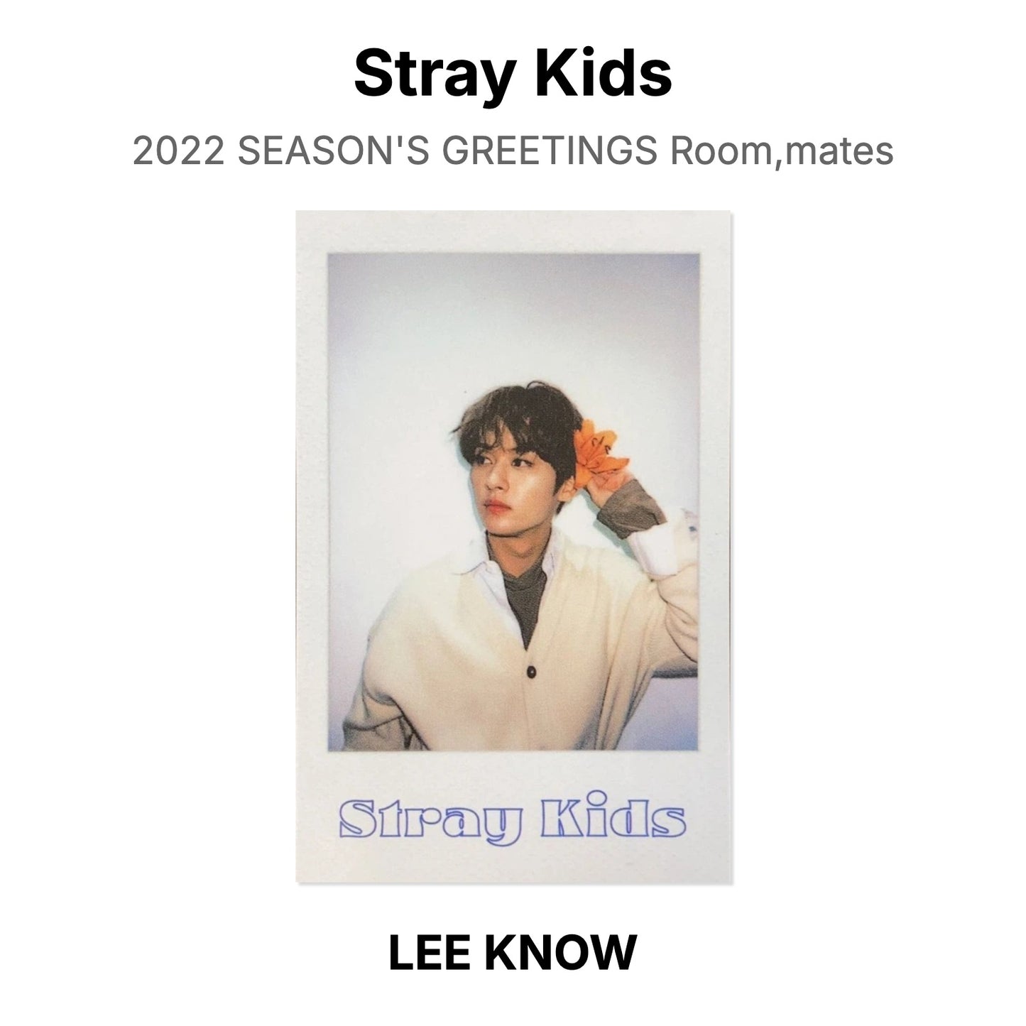 Stray Kids 2022 SEASON'S GREETINGS Room,mates Official Photocard