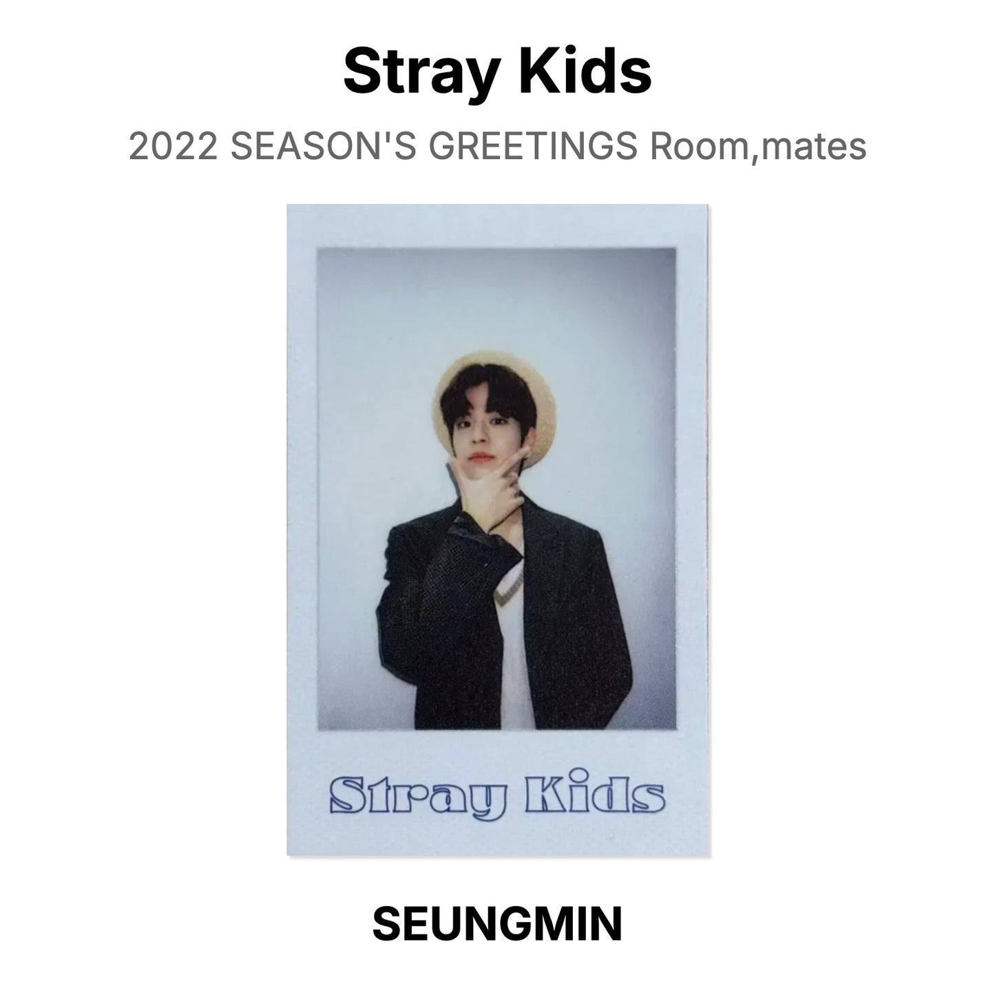 Stray Kids 2022 SEASON'S GREETINGS Room,mates Official Photocard