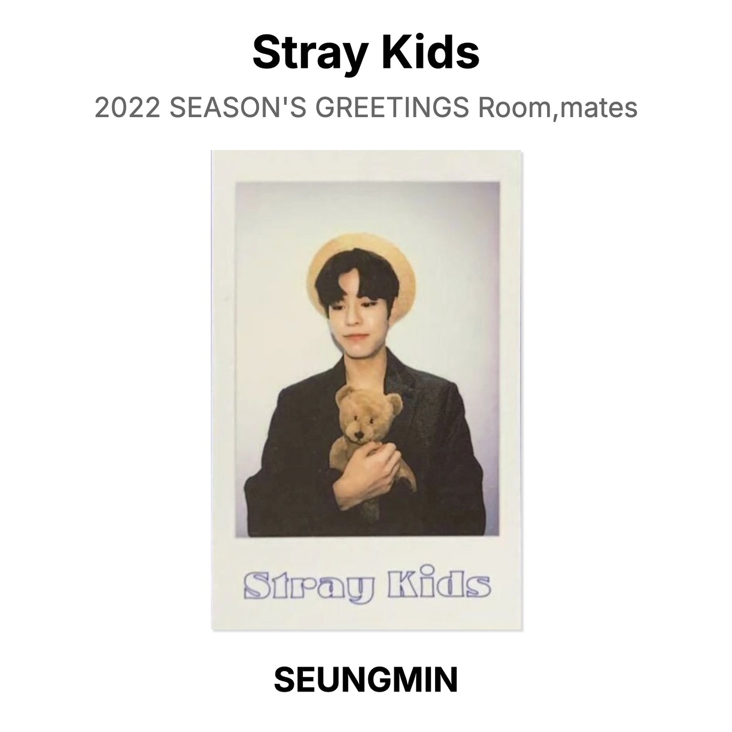 Stray Kids 2022 SEASON'S GREETINGS Room,mates Official Photocard